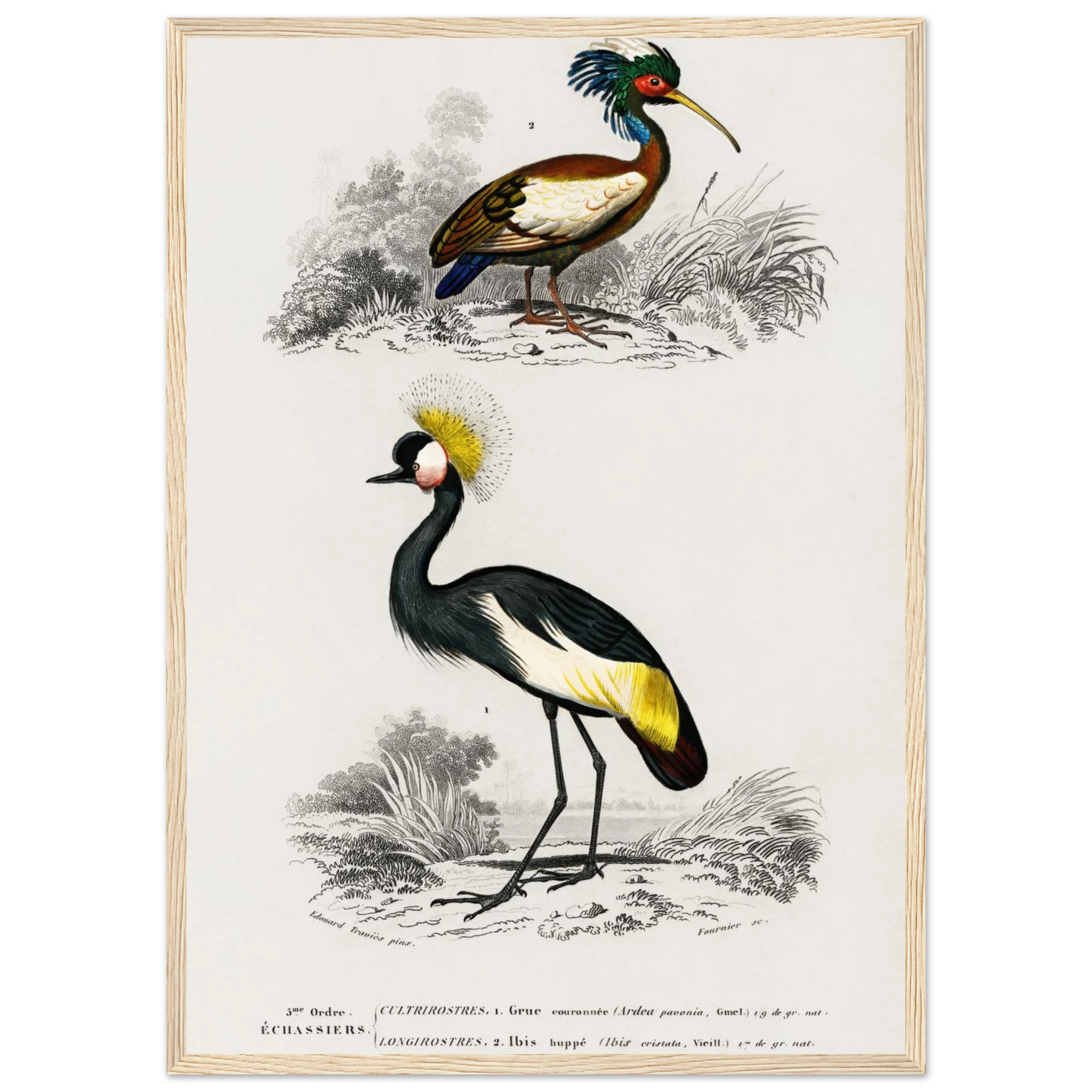 36ba5e02-8971-407d-807e-df92758727cd