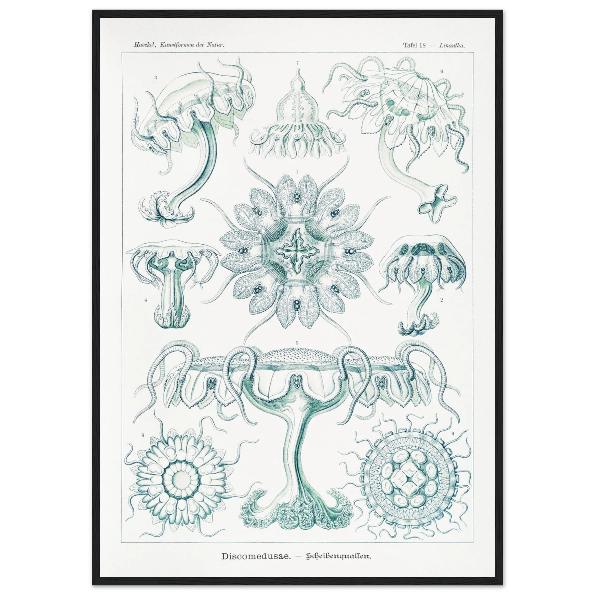 36f0a7de-9191-4896-8fdd-f128a9bb8f1a