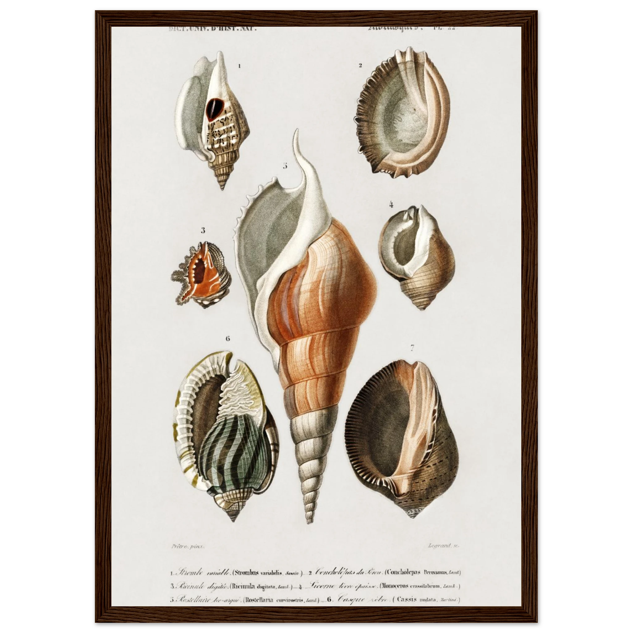 37001a1b-58d1-4402-9001-60bbed0853d6