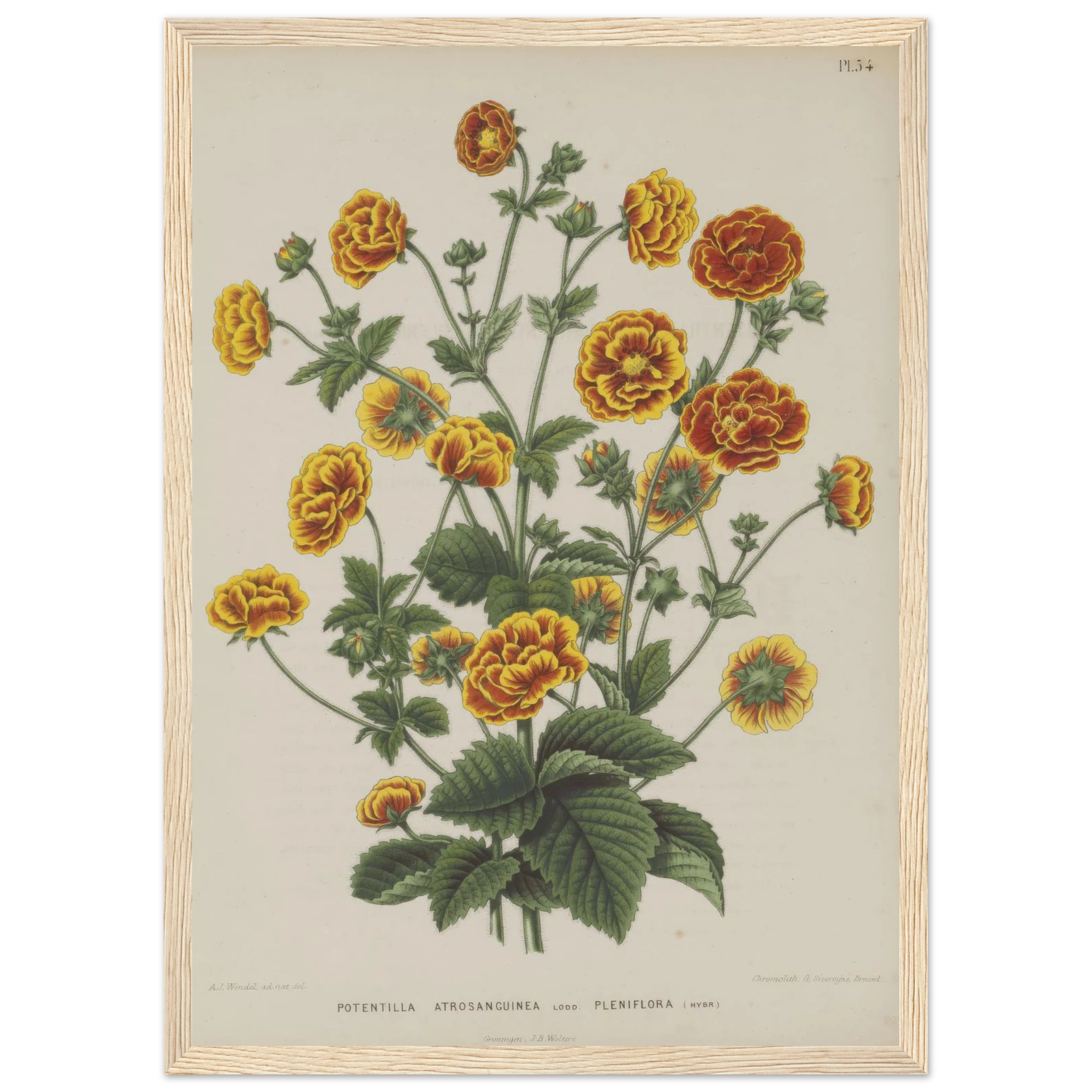 373a7f4d-0fc1-4aeb-926a-61608d15ef9e