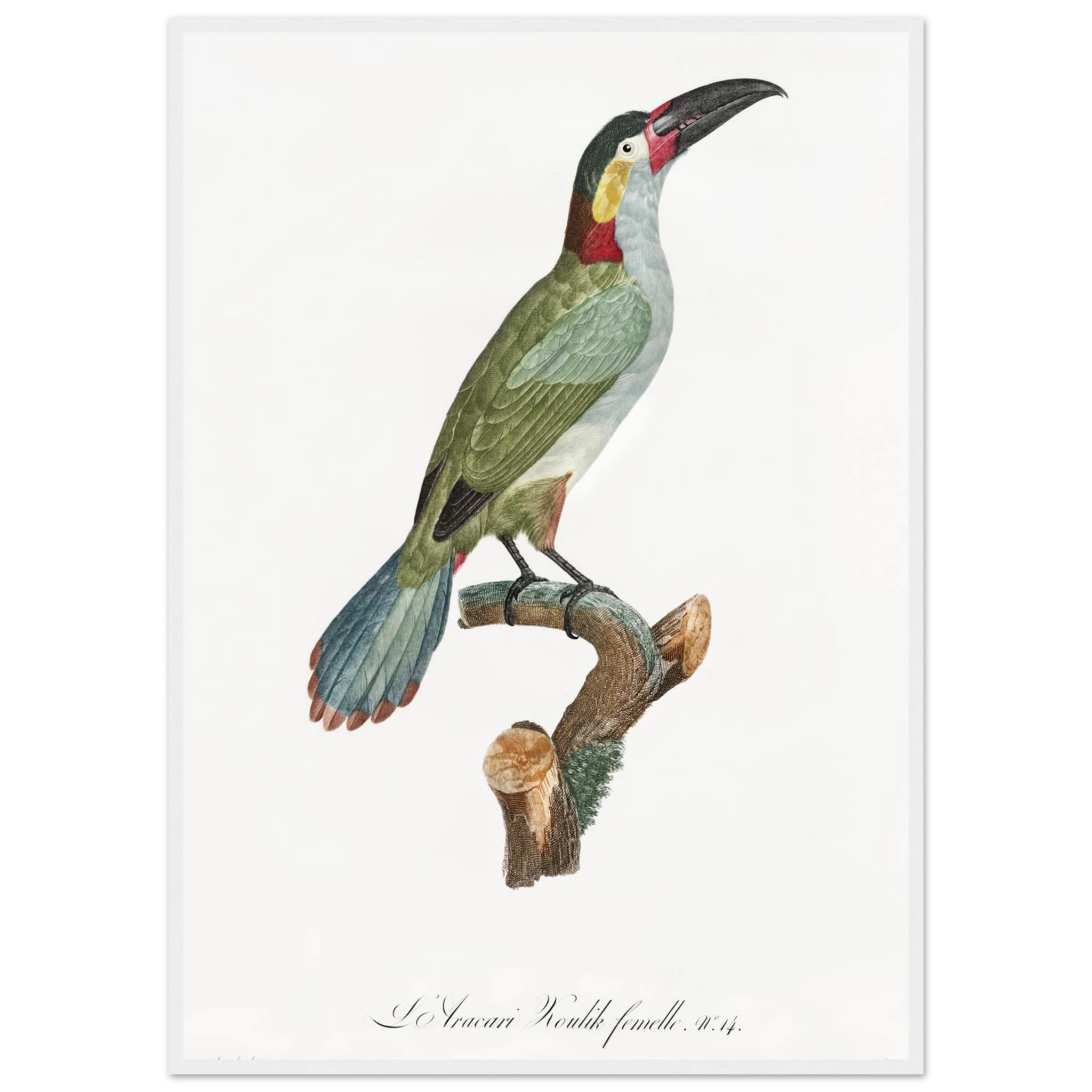 37d6a040-7fa2-4f2d-817d-d96818768bf2