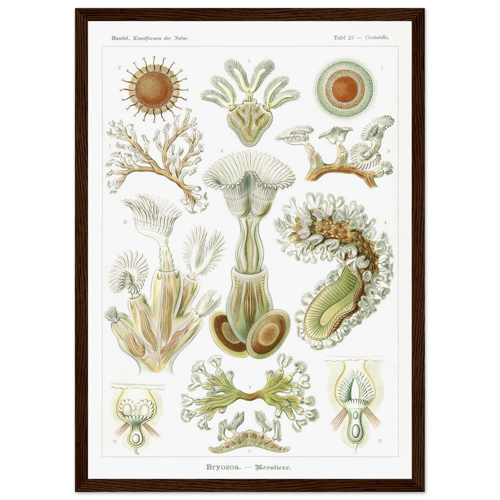 38757ecd-894e-4a72-a334-b70626c3f6c1