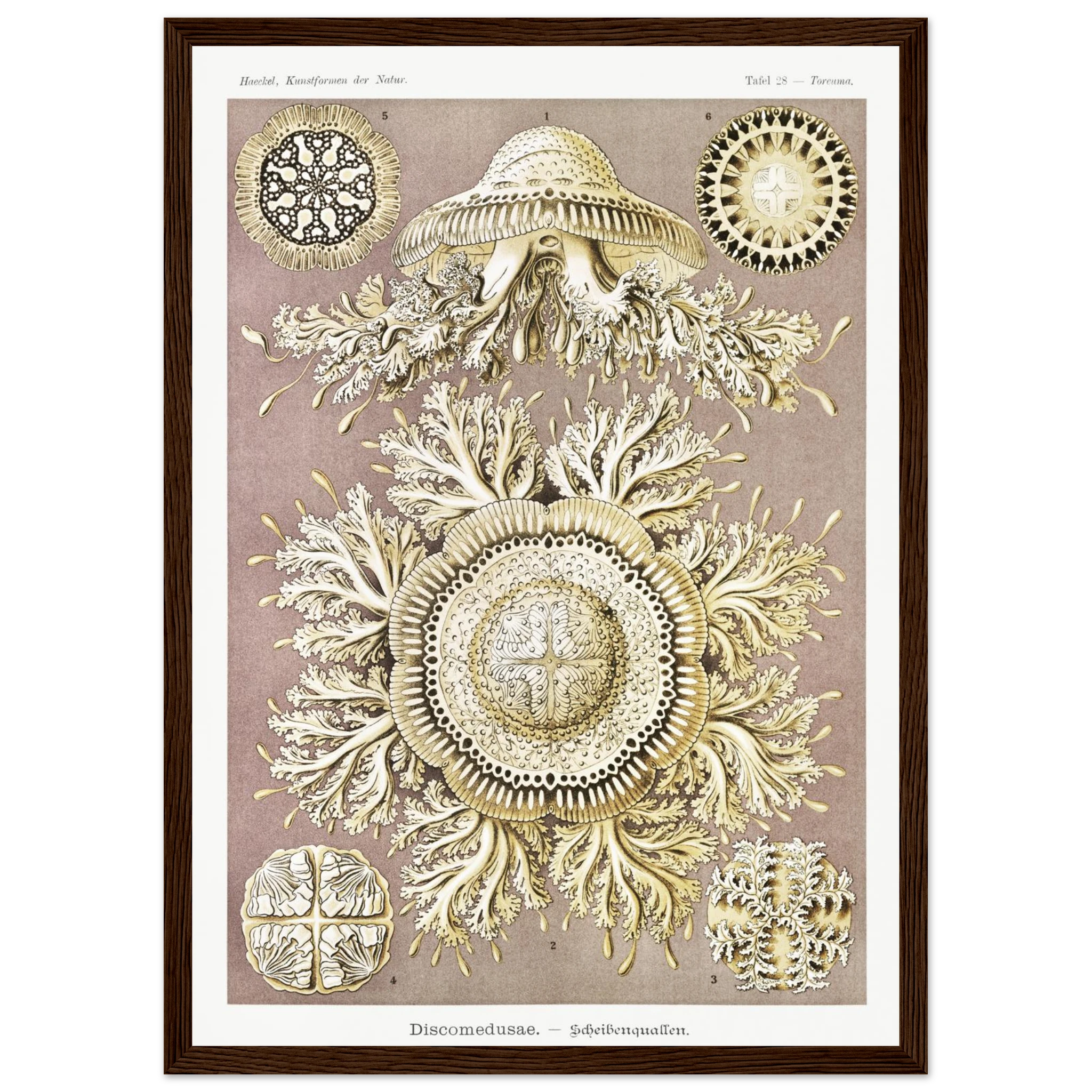 38a6b94e-2aa0-4d73-8166-7f670c81d5e9