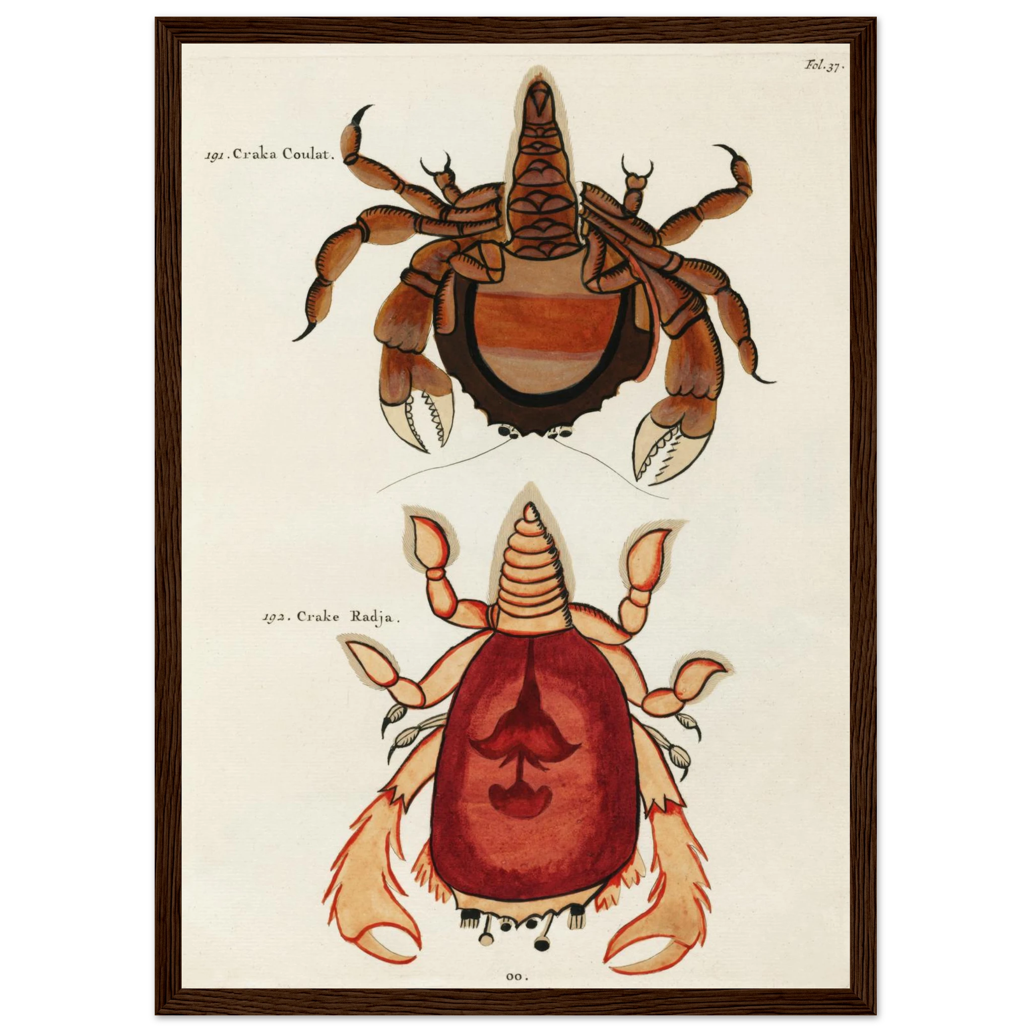 38a6bbd0-9b1c-43fa-bbc9-9c0d0195f923