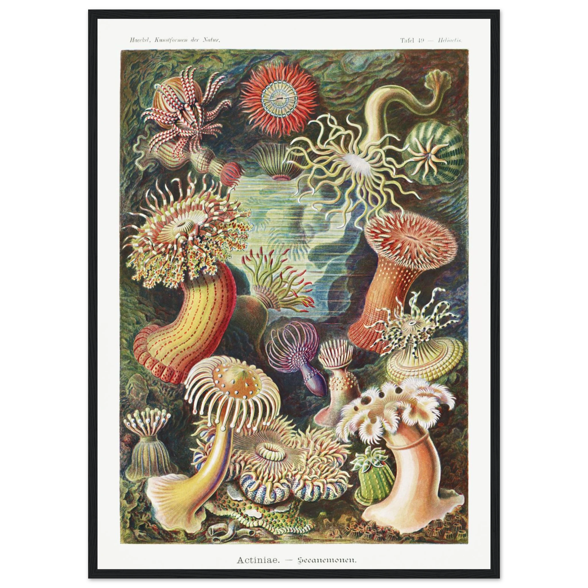 390572ee-7302-4224-91f8-eabae5276a65