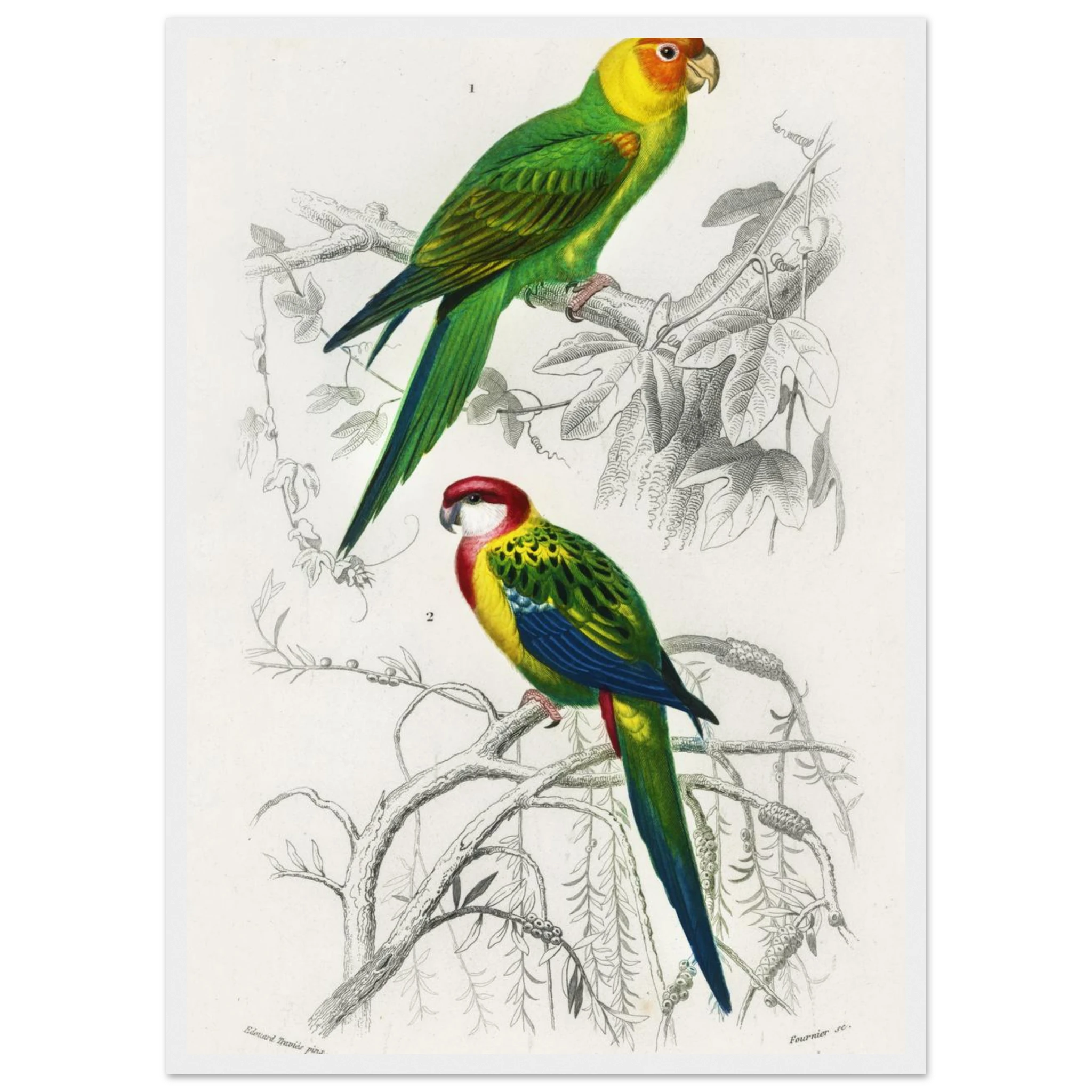 39177b4b-ea36-48ba-832a-ebd1f43d8dde