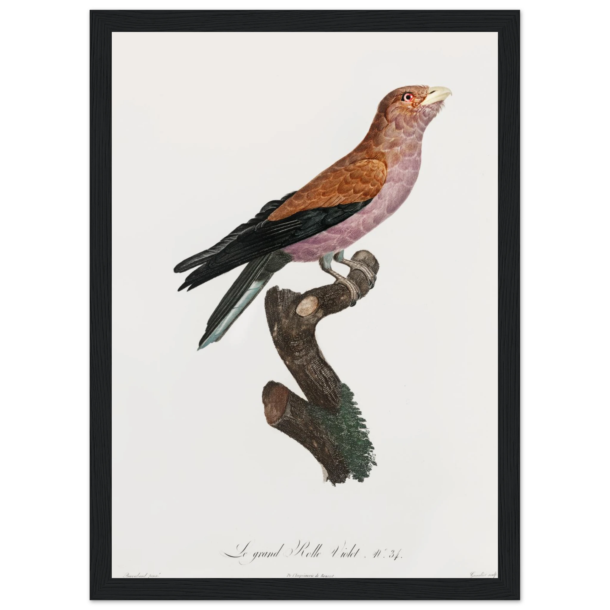 3924236d-672c-4423-80a3-3266a214d46e