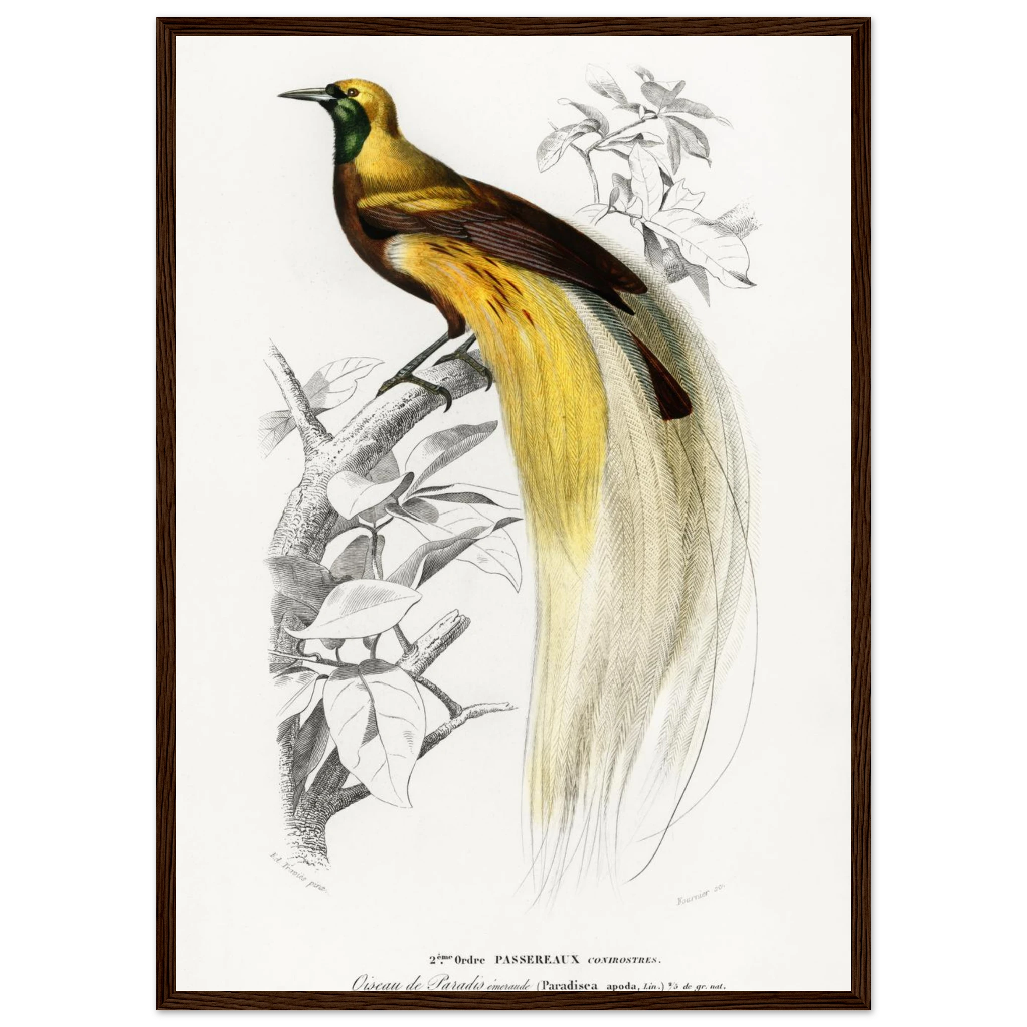 39545426-455e-4d1f-8ec4-581cb4928bb0