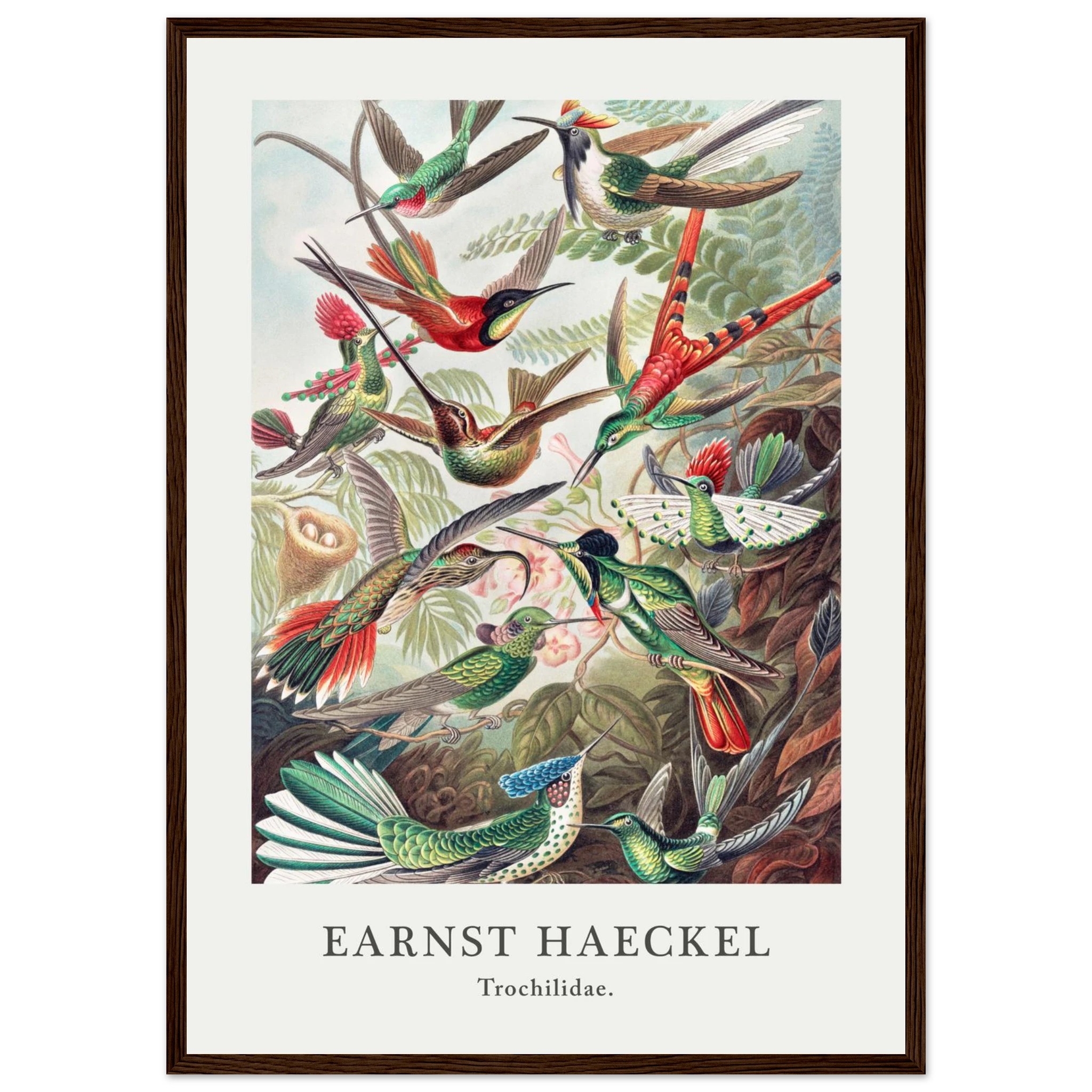 39b61758-b9f1-4ec0-b050-b64dd420446f