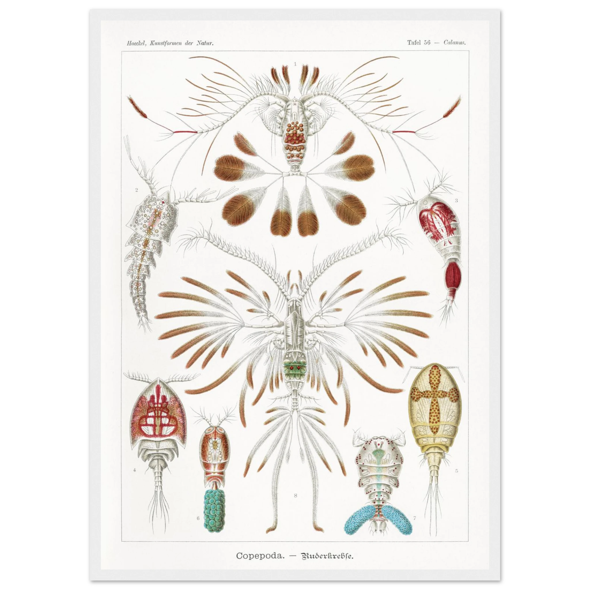 39b83daf-152d-4083-b0b4-ce360c3758bc