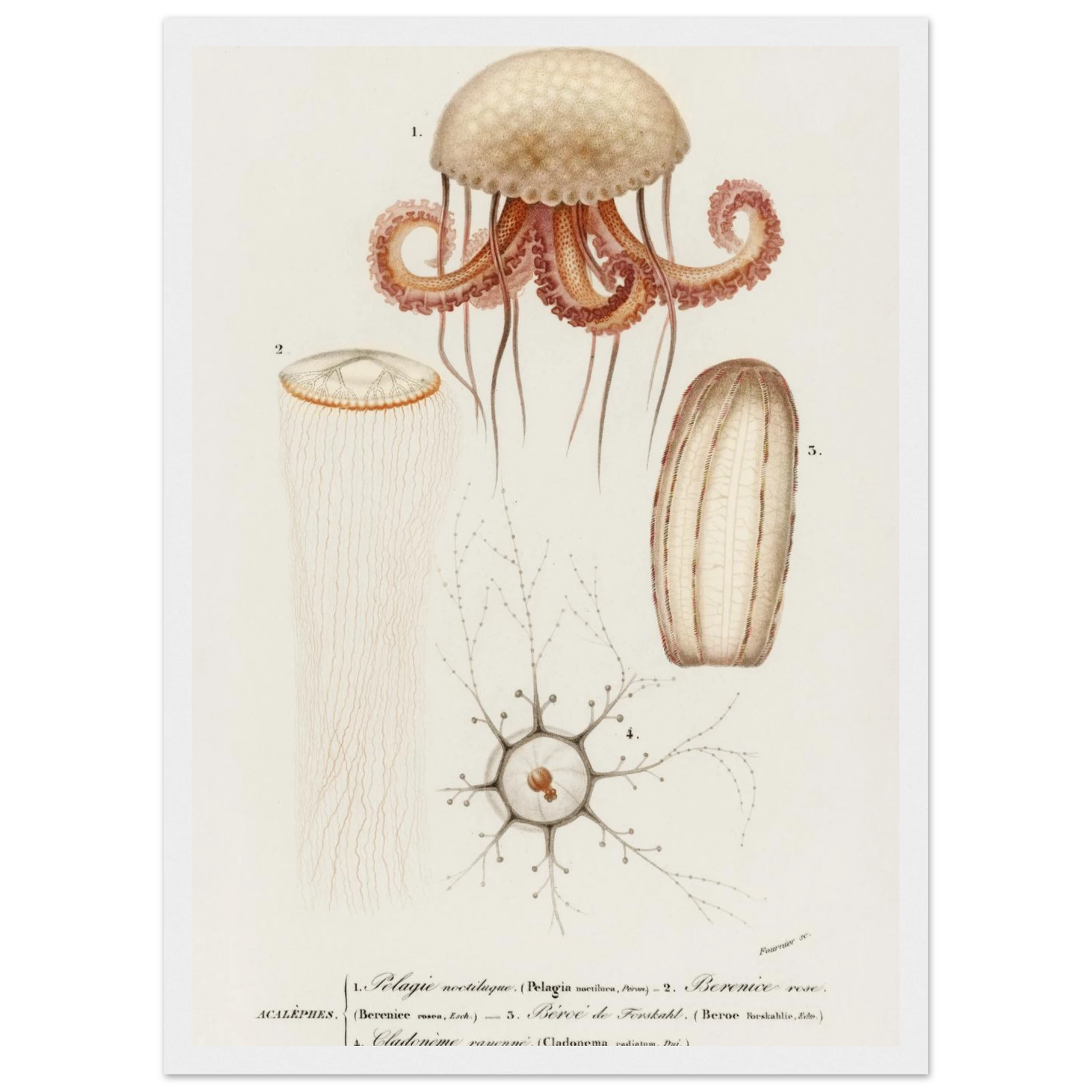 39d7f010-661c-48f8-a336-c0dd2b526b4e