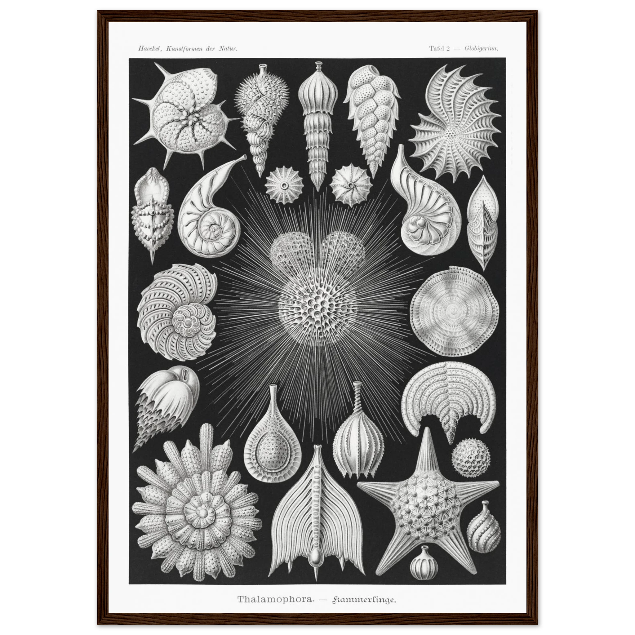 39e777f1-2786-4cd6-b5e6-3fd7ec2e1d18