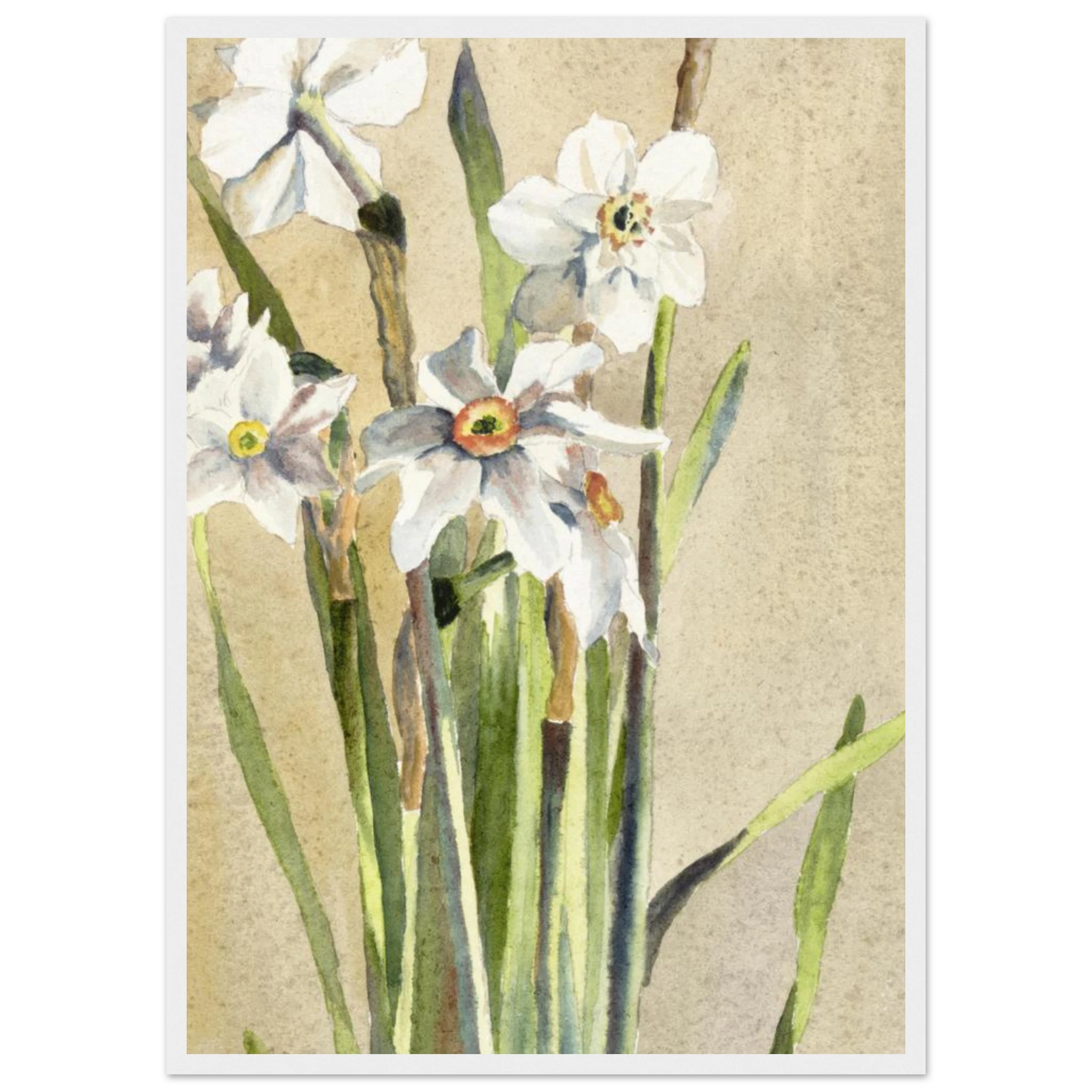 3a102992-acb5-4fb0-b10d-84a91c745e3c