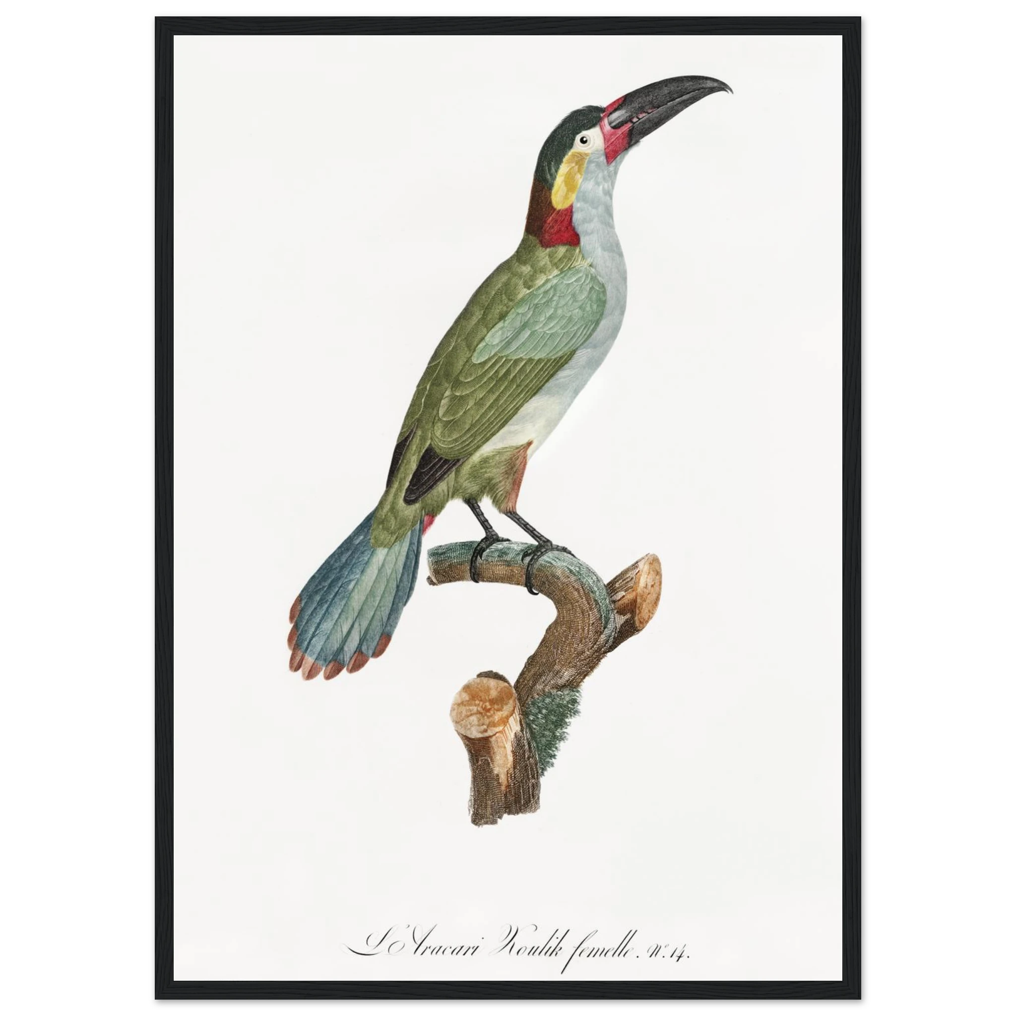 3a54cf1c-6f6c-4cd5-a427-068b90f69446