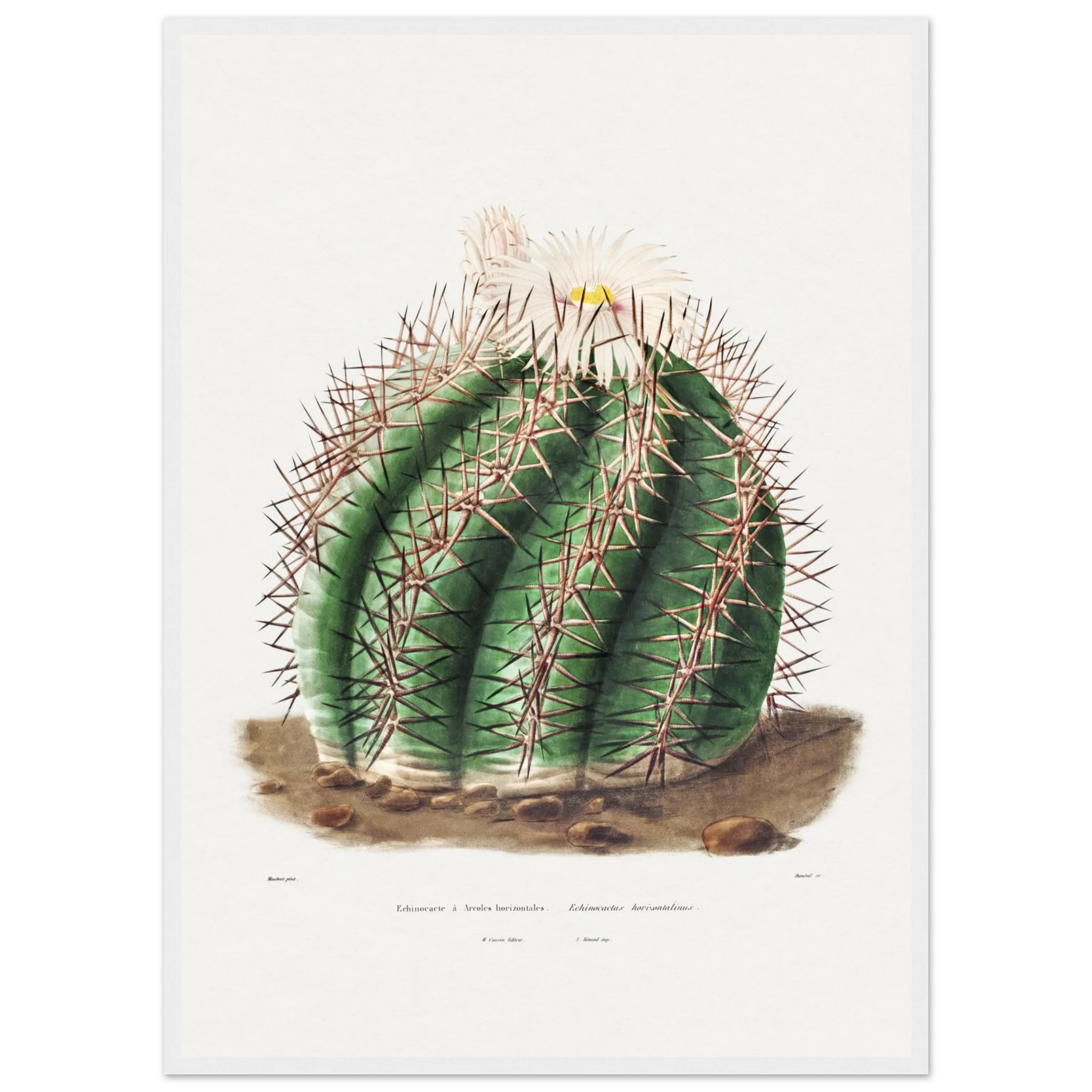 3a572f4e-4a71-47f4-9a92-bd88a7c5d96b