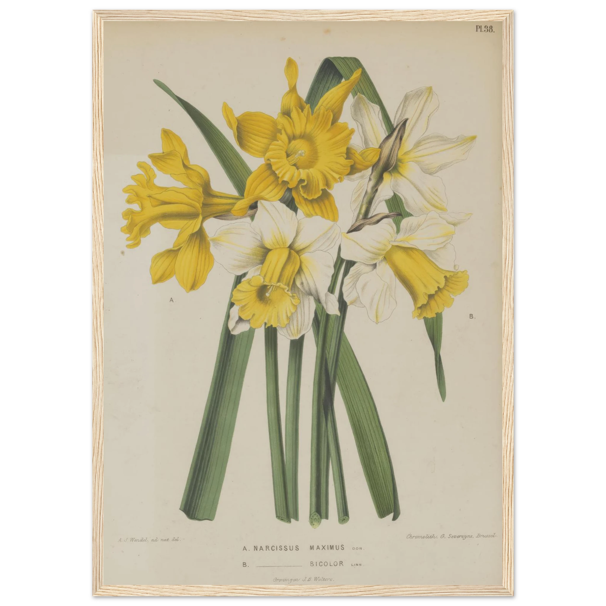 3a84a013-153a-487e-aecc-6a207b3c8b81