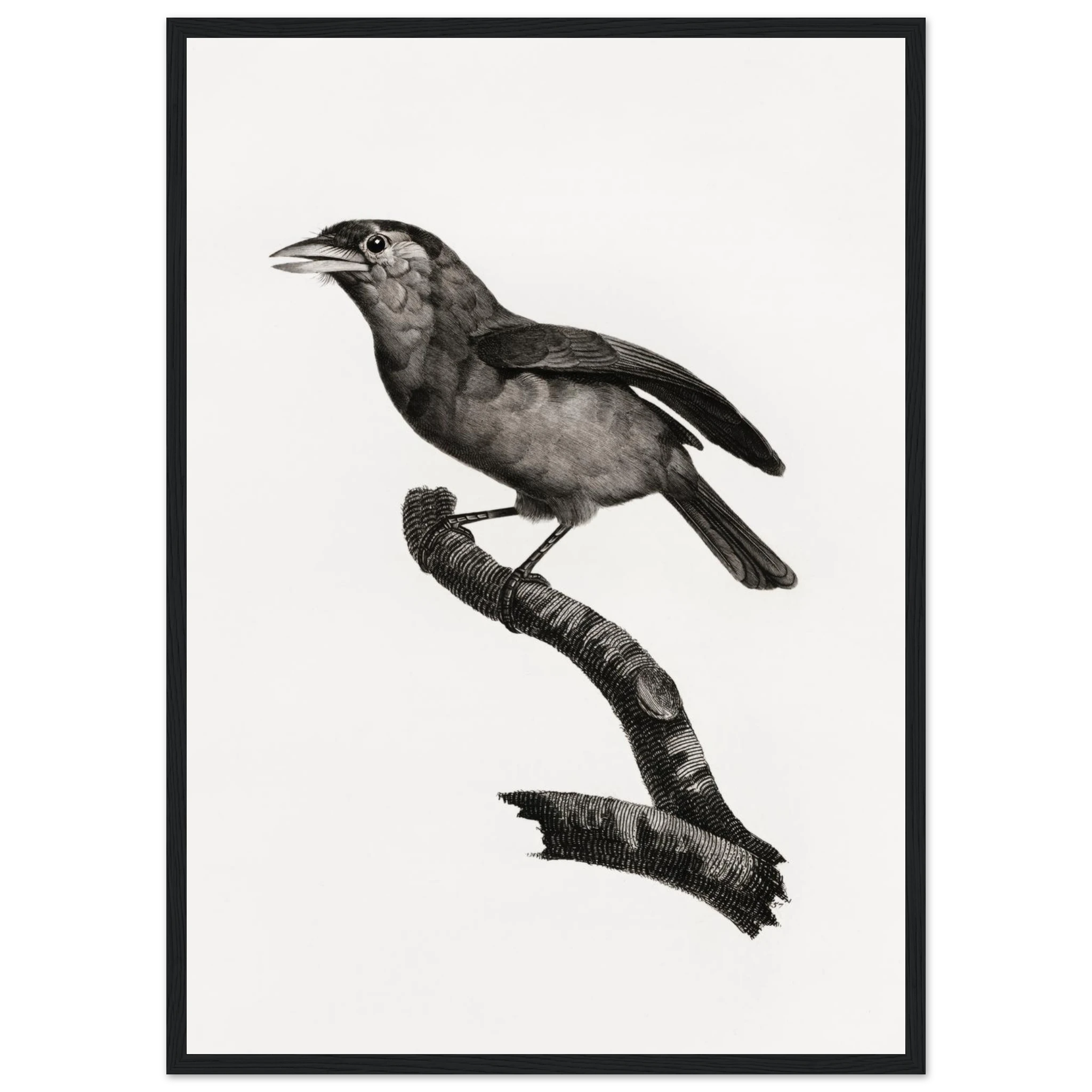 3a8ed816-dacd-4c0f-b02e-a3f7b754da85