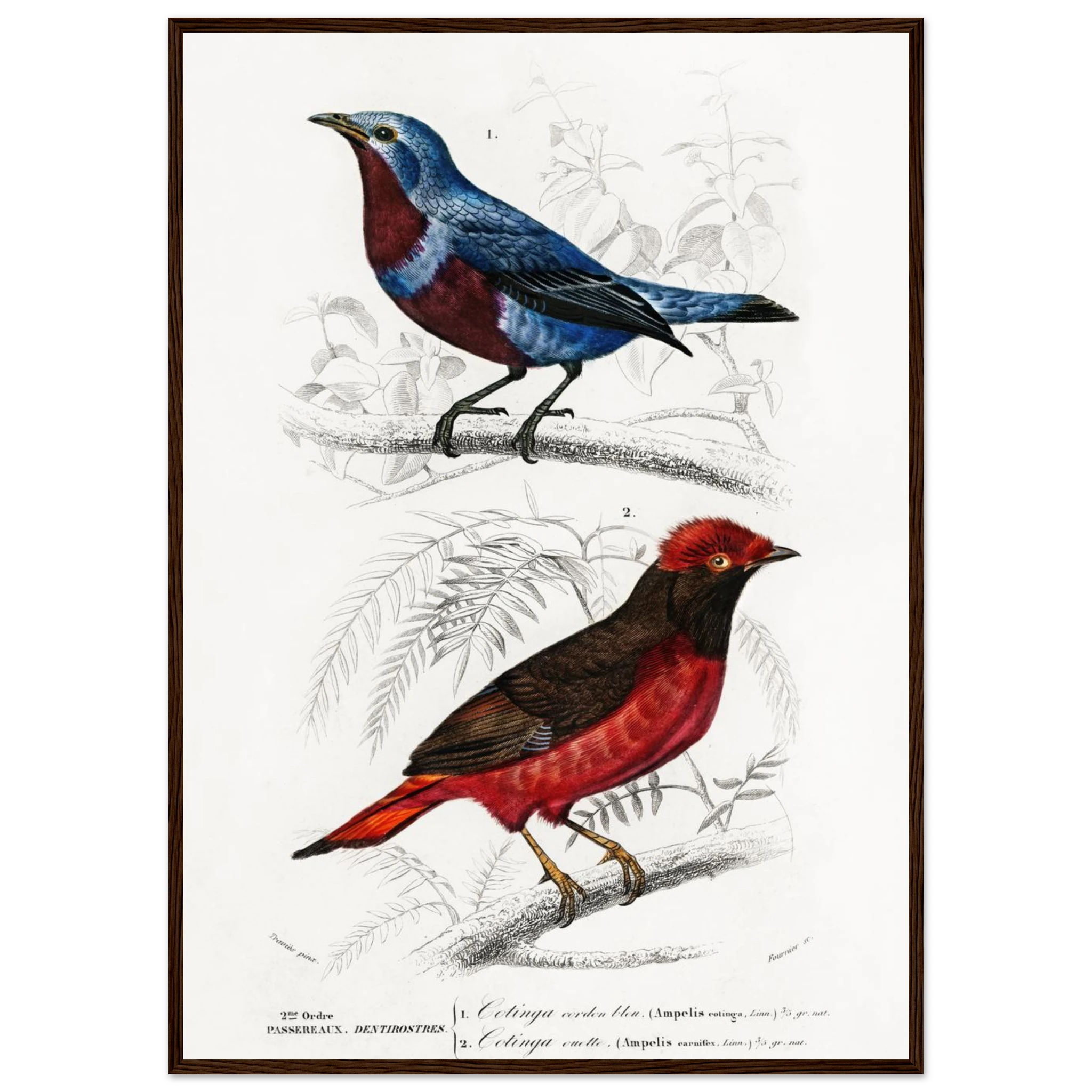 3ade8085-ace8-4900-a186-8b27f3778d10