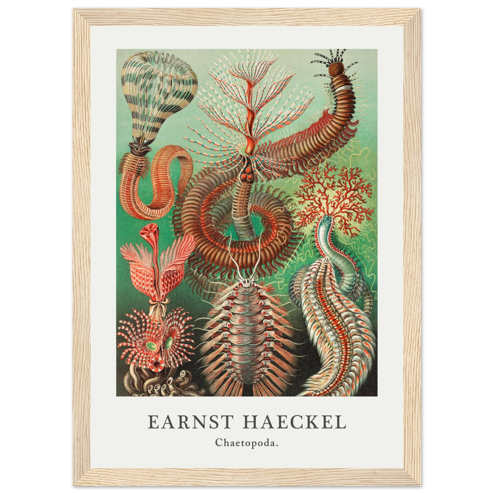 3ae799c8-2d11-42ce-b655-648eb1da554a