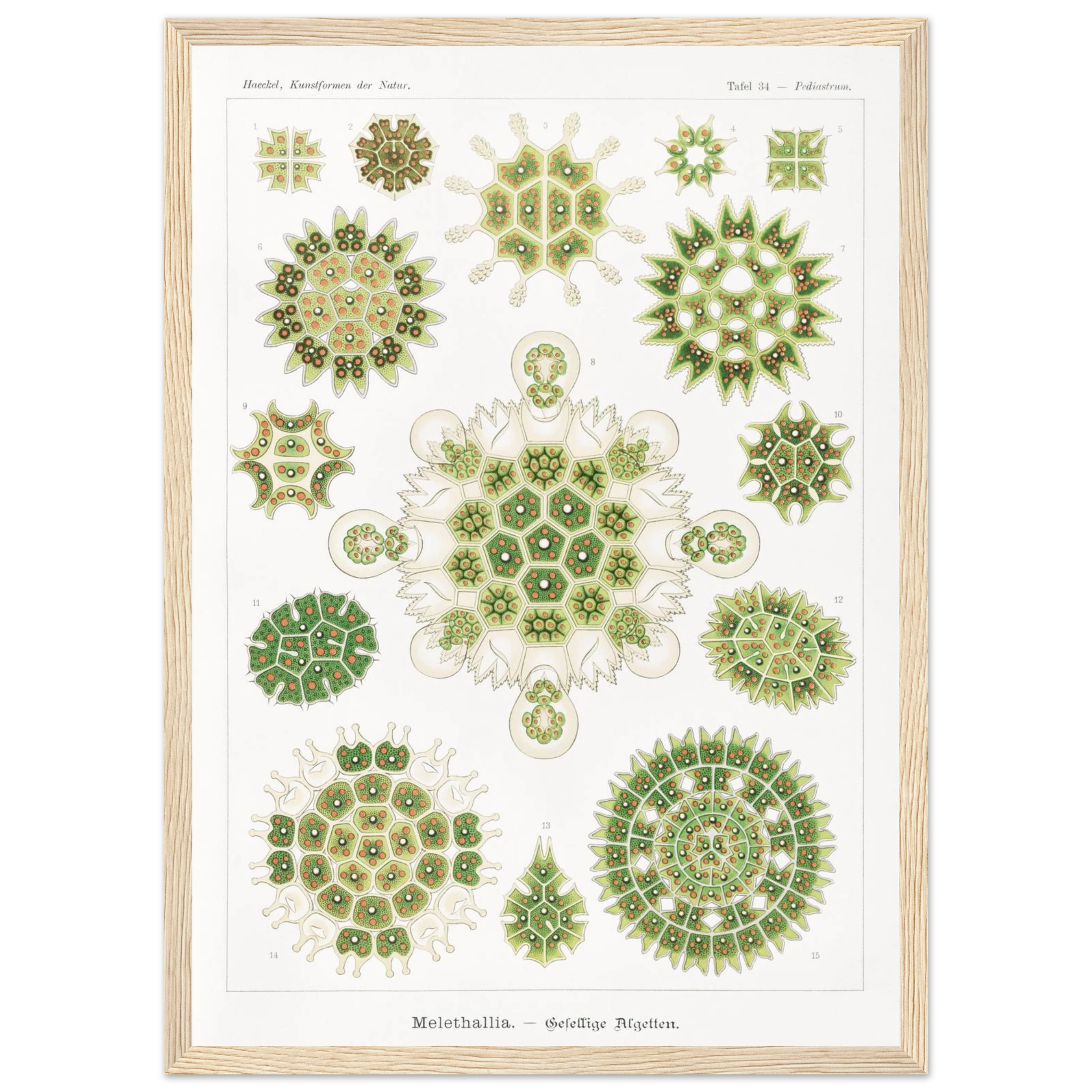 3af19ad3-048e-40d6-966a-c3e96c51d9ec