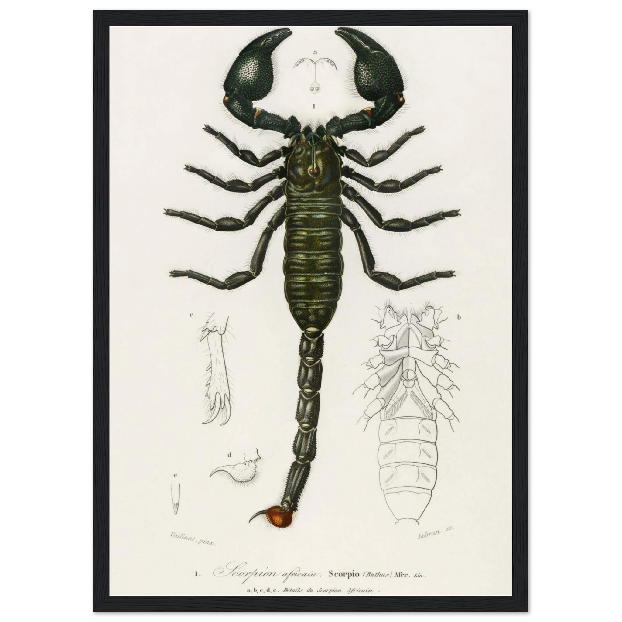 3aff351e-bbf4-4b2d-a71f-a0162ec5cdbb