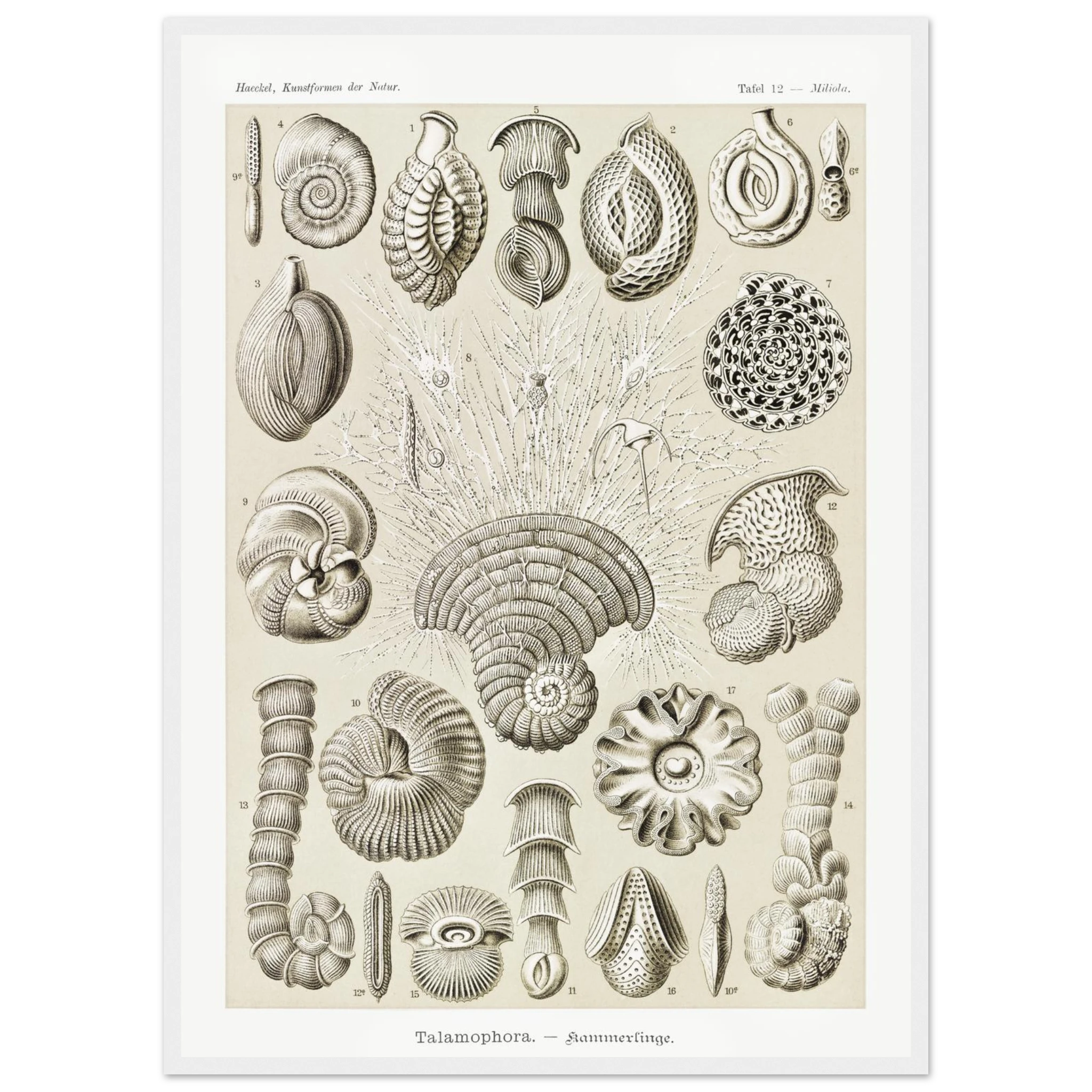 3b029c05-4a61-442b-9528-59e56d054446