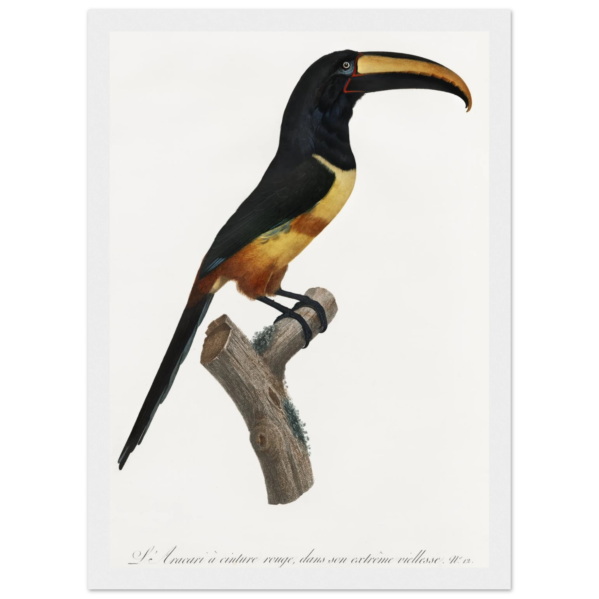 3b299340-deb5-41f6-93b2-4a2e88170ab2