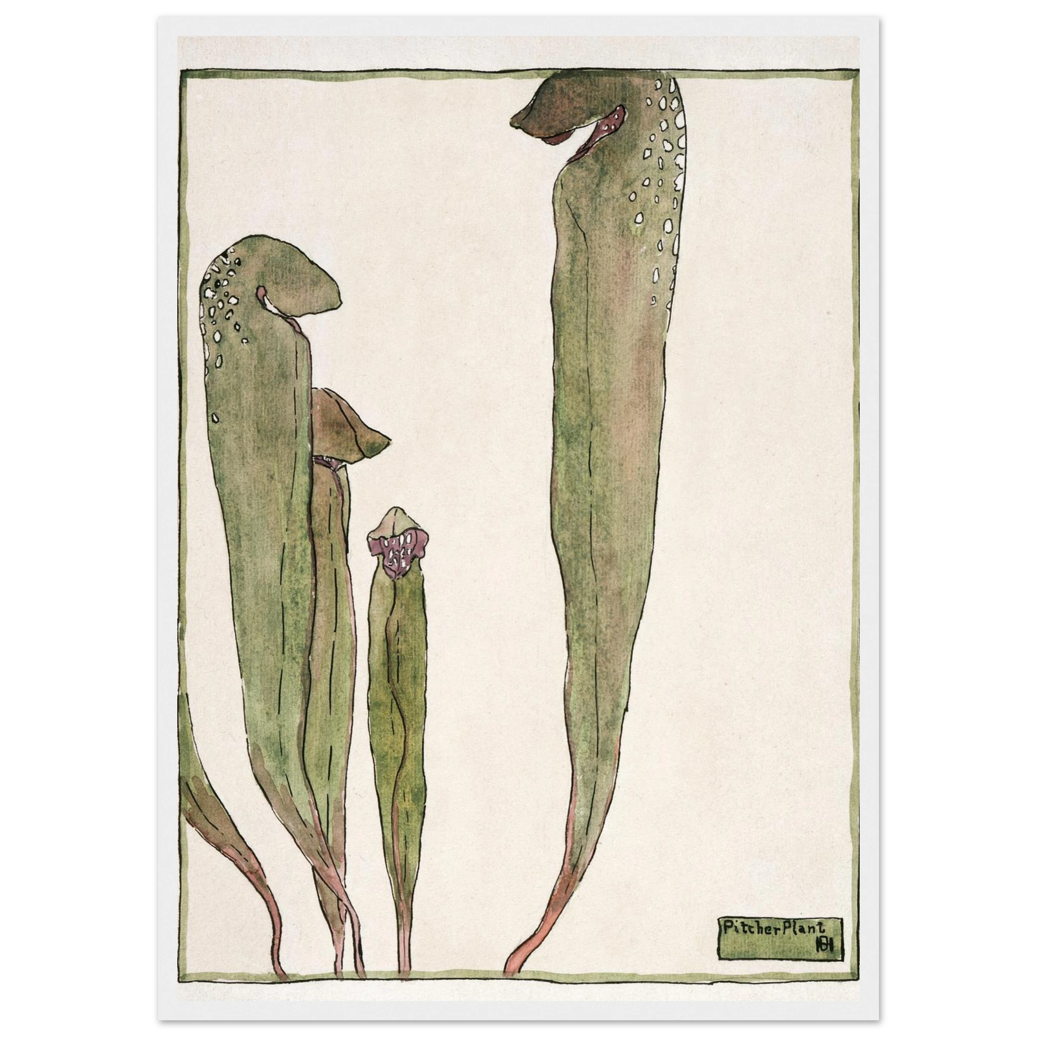 3b4cab11-cd42-4aae-9918-7fbc1376392f