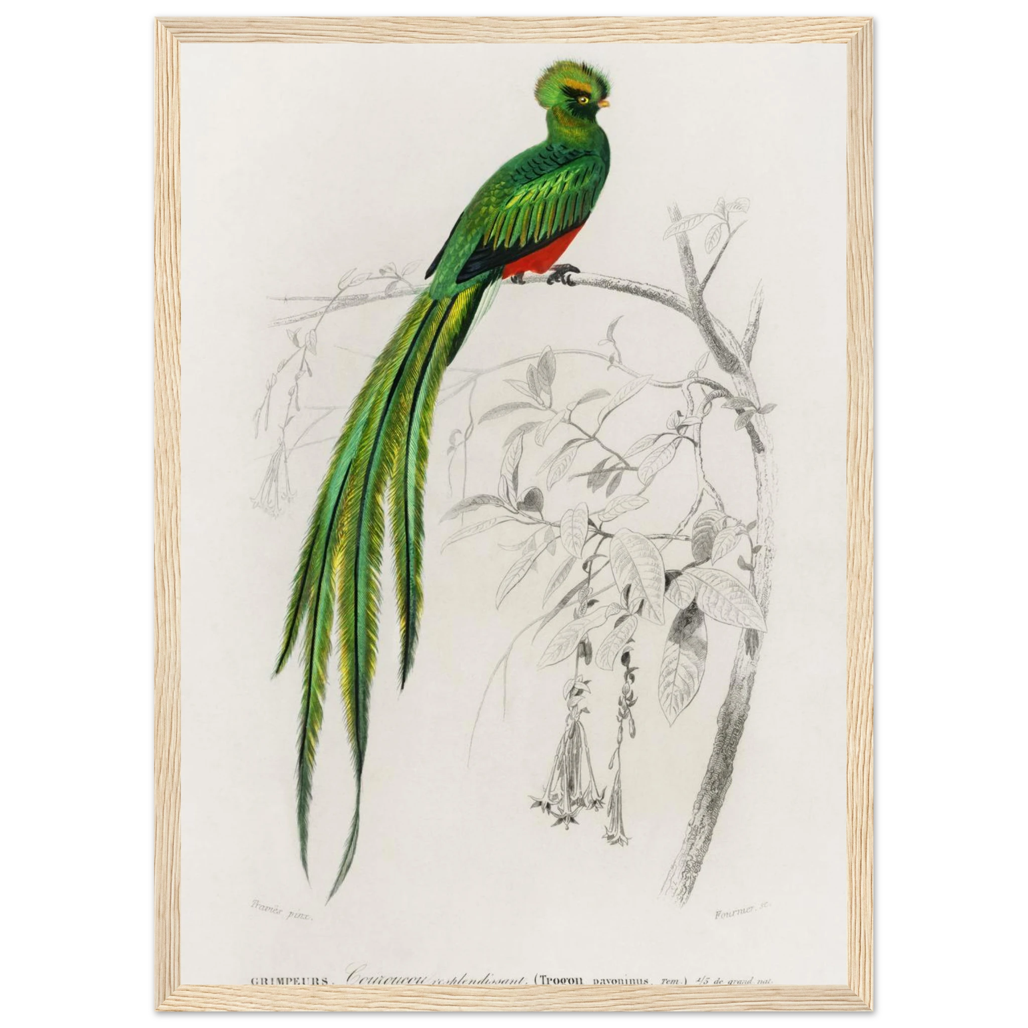 3b7dc5d8-002b-4f8d-b2bf-ecad2d23bec8