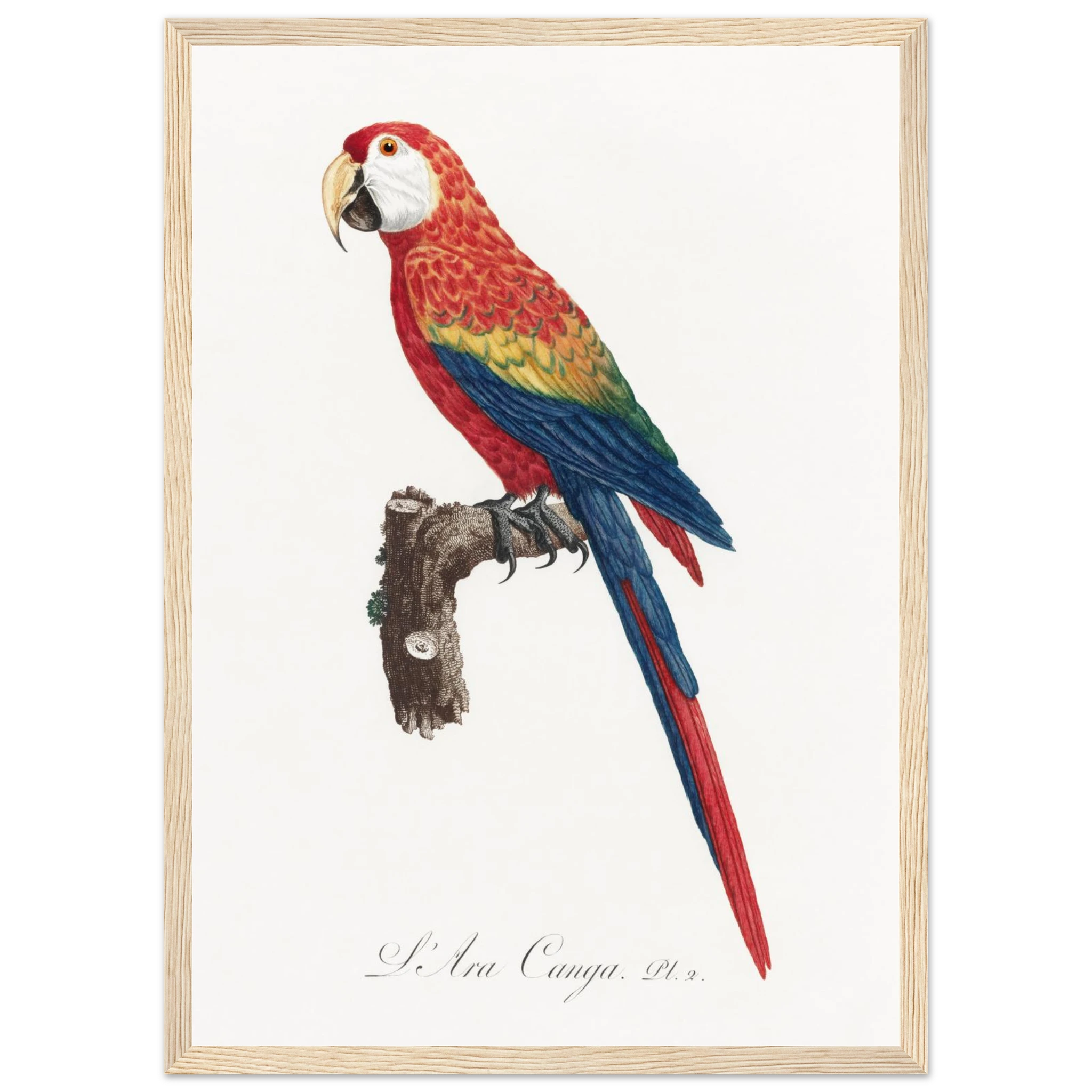 3bc0a60e-2584-4529-ae6c-6bb5f39fb89a