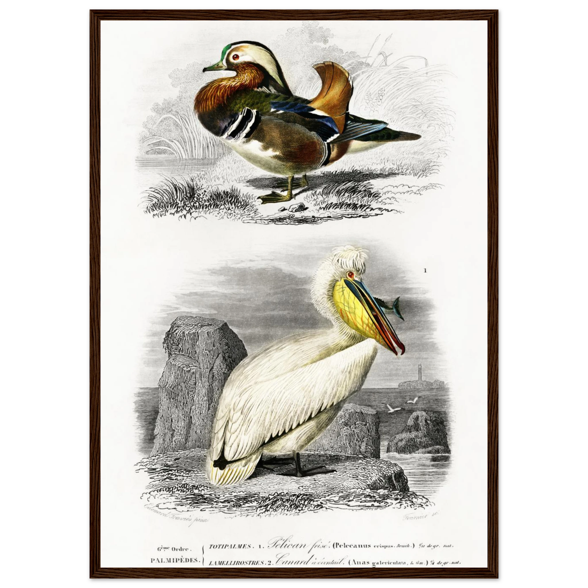 3bcfcf31-53ab-4f69-98d0-b9ca2ac98003