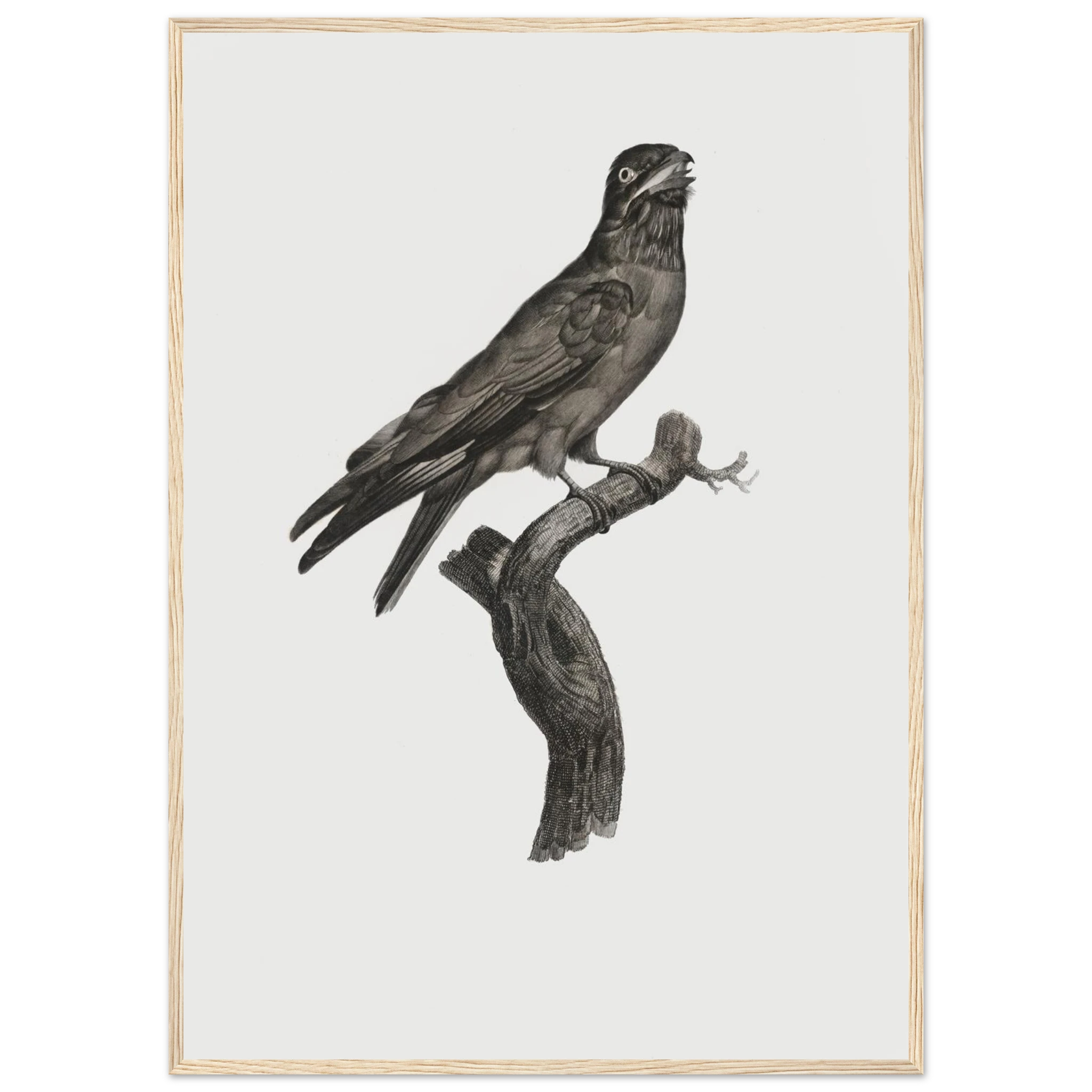 3bdb63c7-a01b-47b0-b7a2-ff0492d15c6b