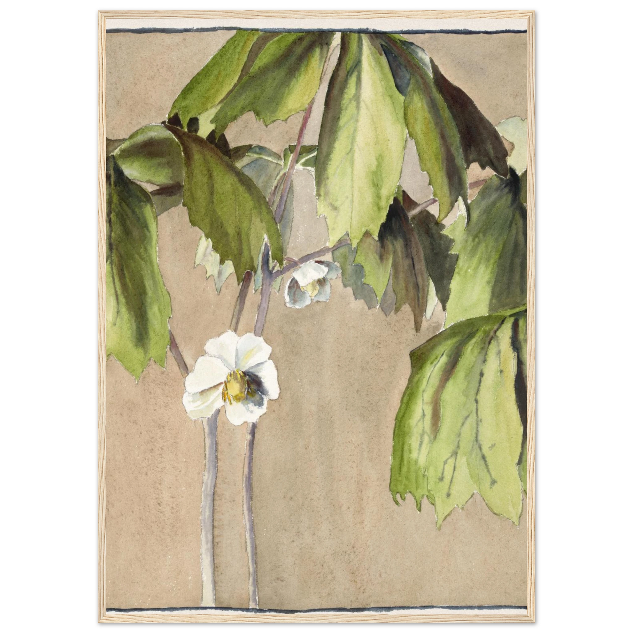 3c18747f-1c1d-4064-9890-1efd0ff026b0