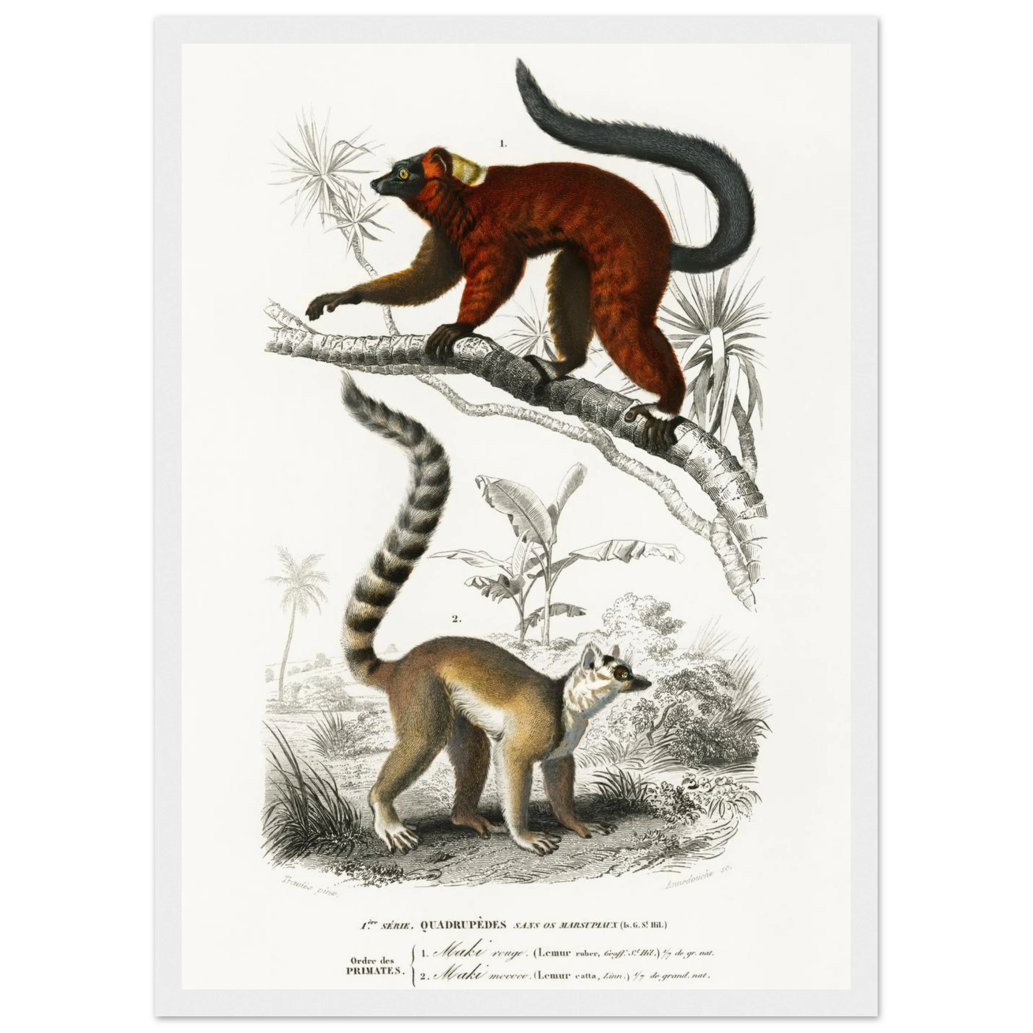 3c363af4-91fb-4a86-aa27-5828a3724aac