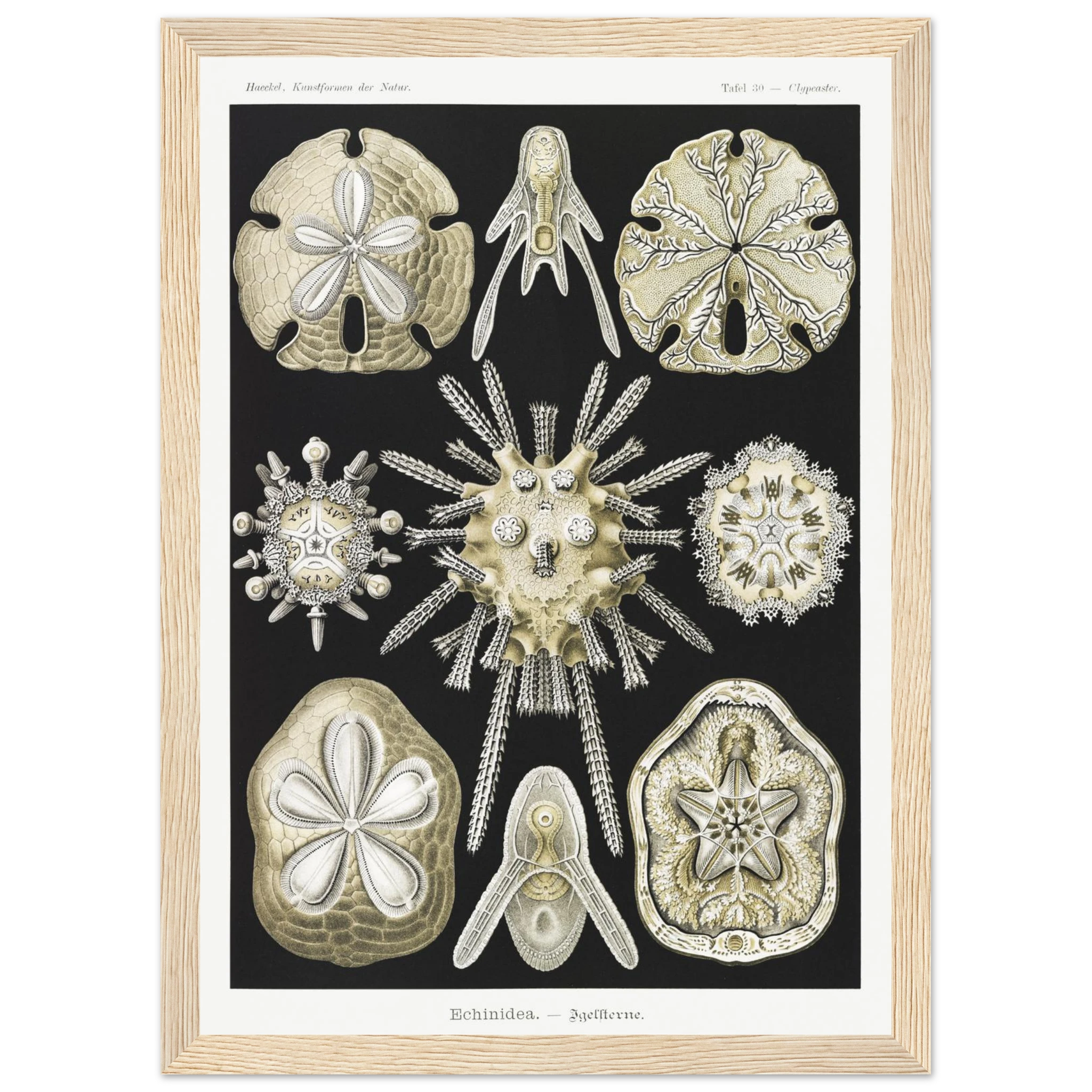 3c529914-d178-4d9d-a63c-6e78127ce5dc