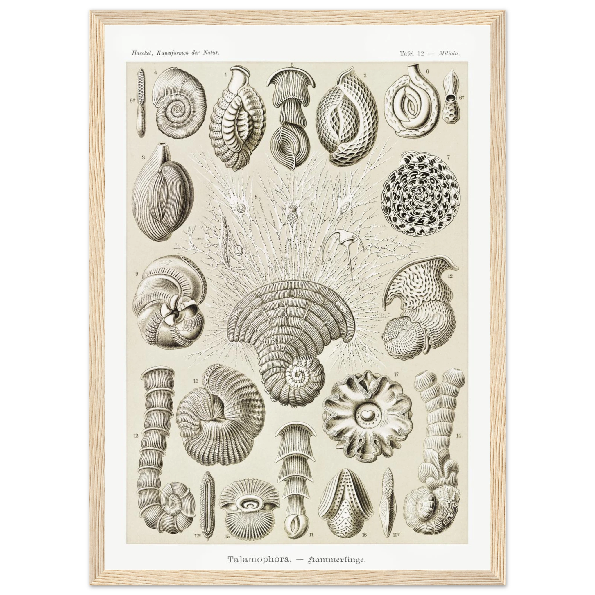 3c99ab02-eb81-4b69-b600-c7ab2ad00fc5