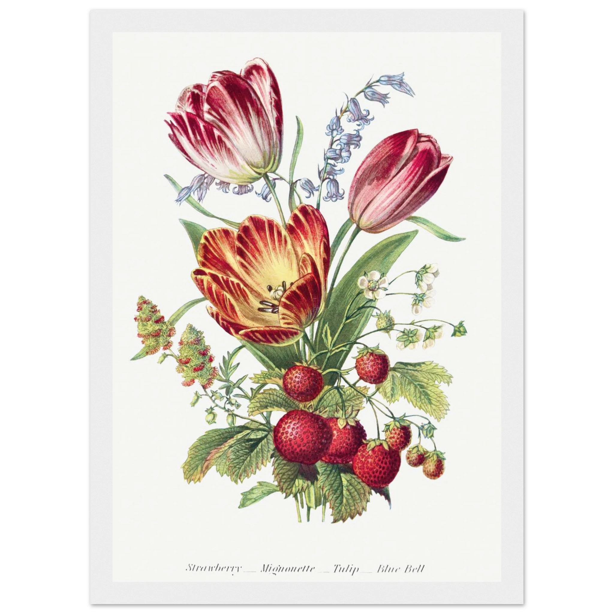 3d6565fc-64d4-4dd8-8bd6-1499bb538ded