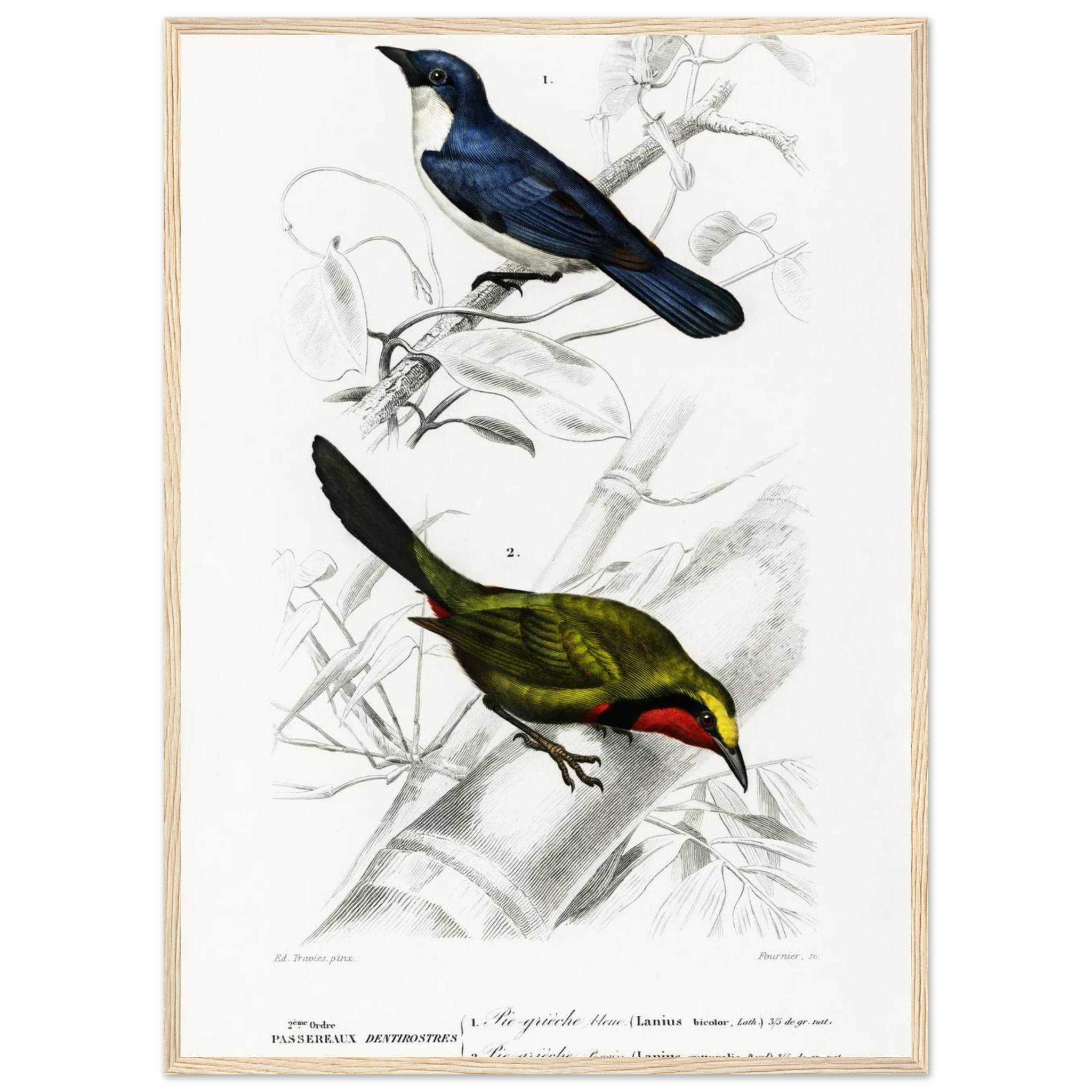 3d8c991c-d264-4295-bbf3-0e8627957a36