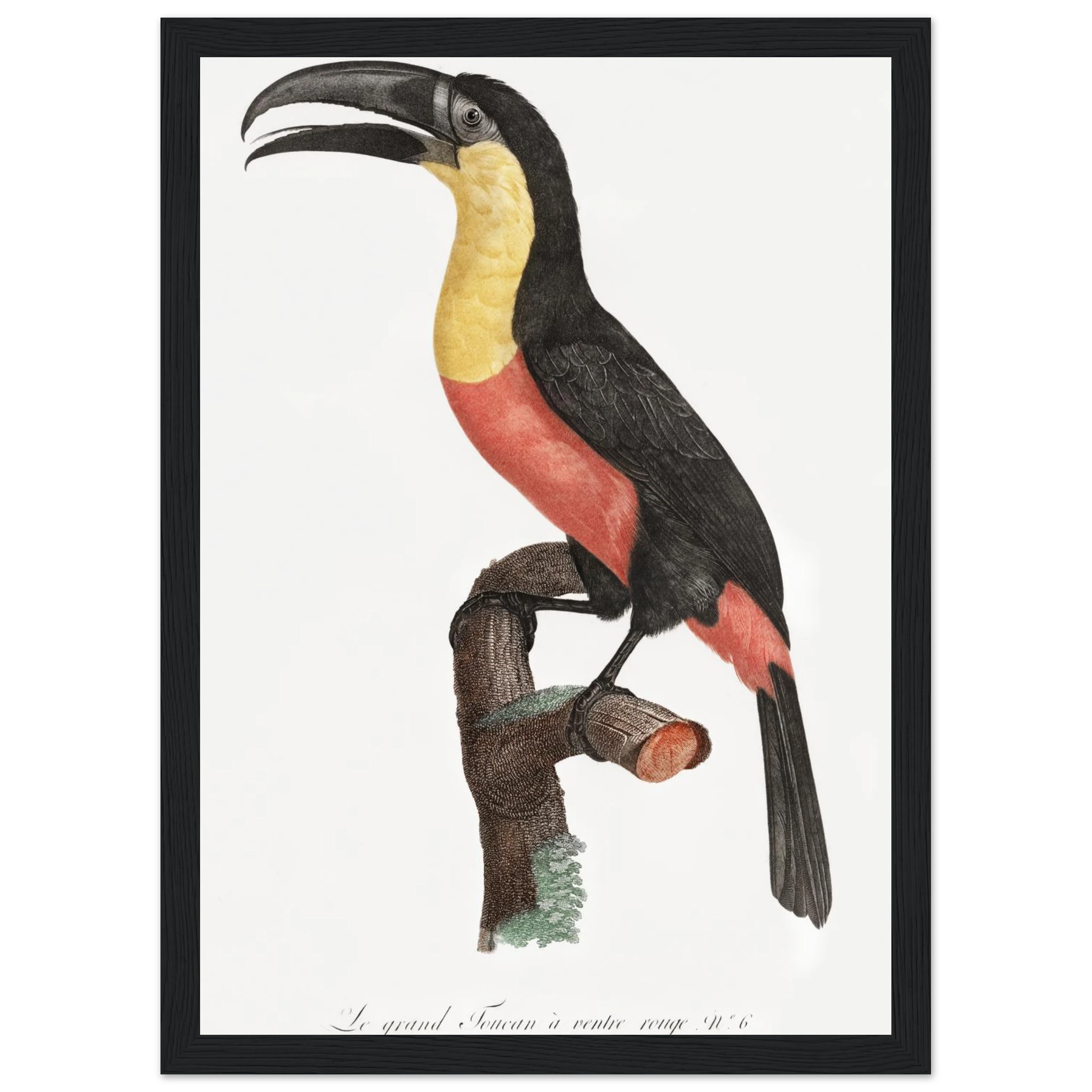 3d9b8517-11a5-4604-9f82-e6870cc5fd35