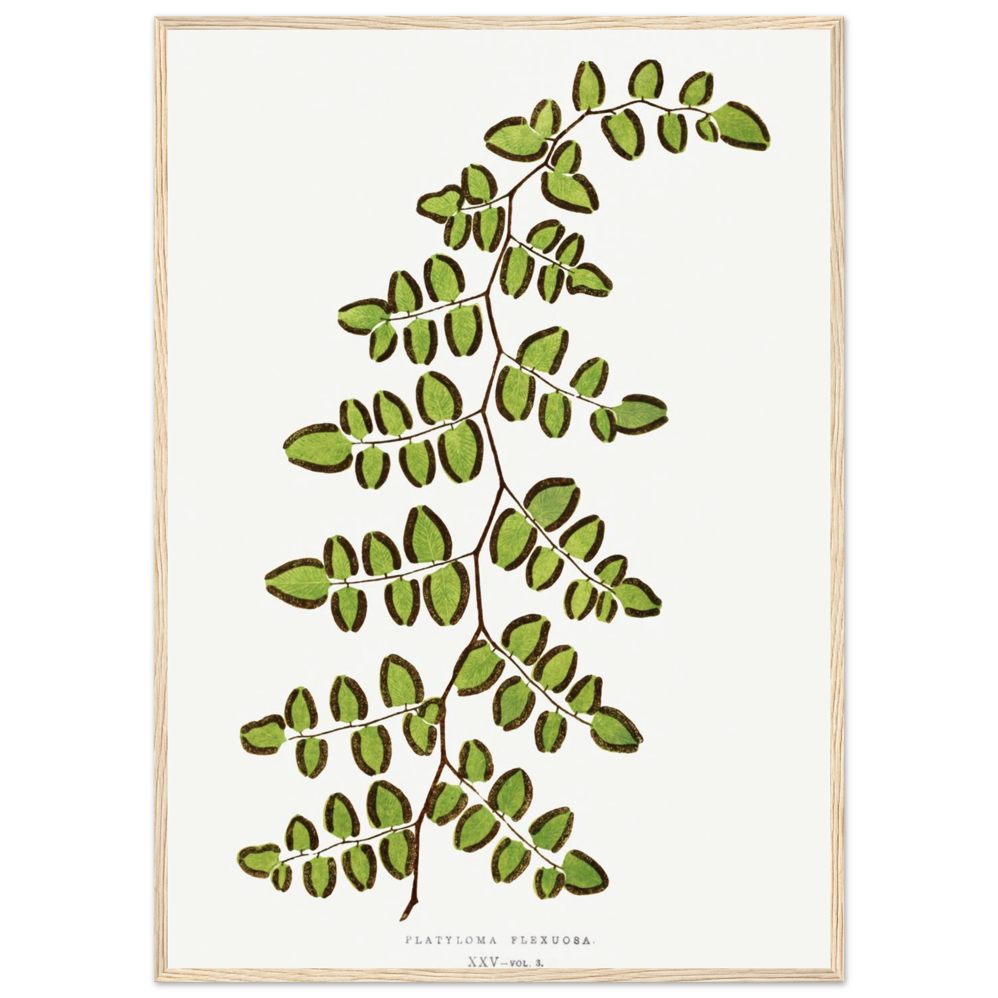 3dbff4a2-cf68-4349-926b-5c807074d3b0