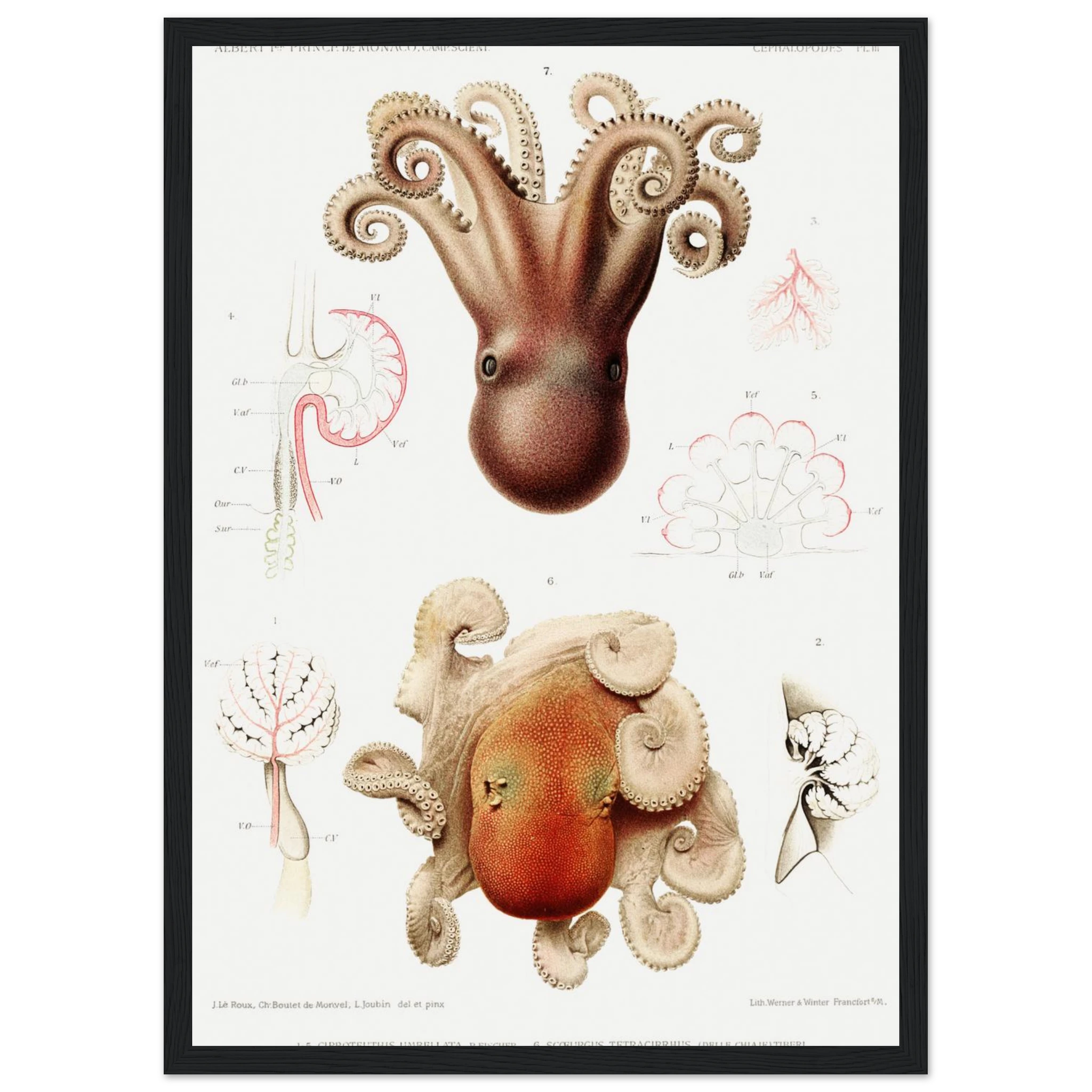 3dddf175-1e67-4a4b-a8b7-dc816e3510c8