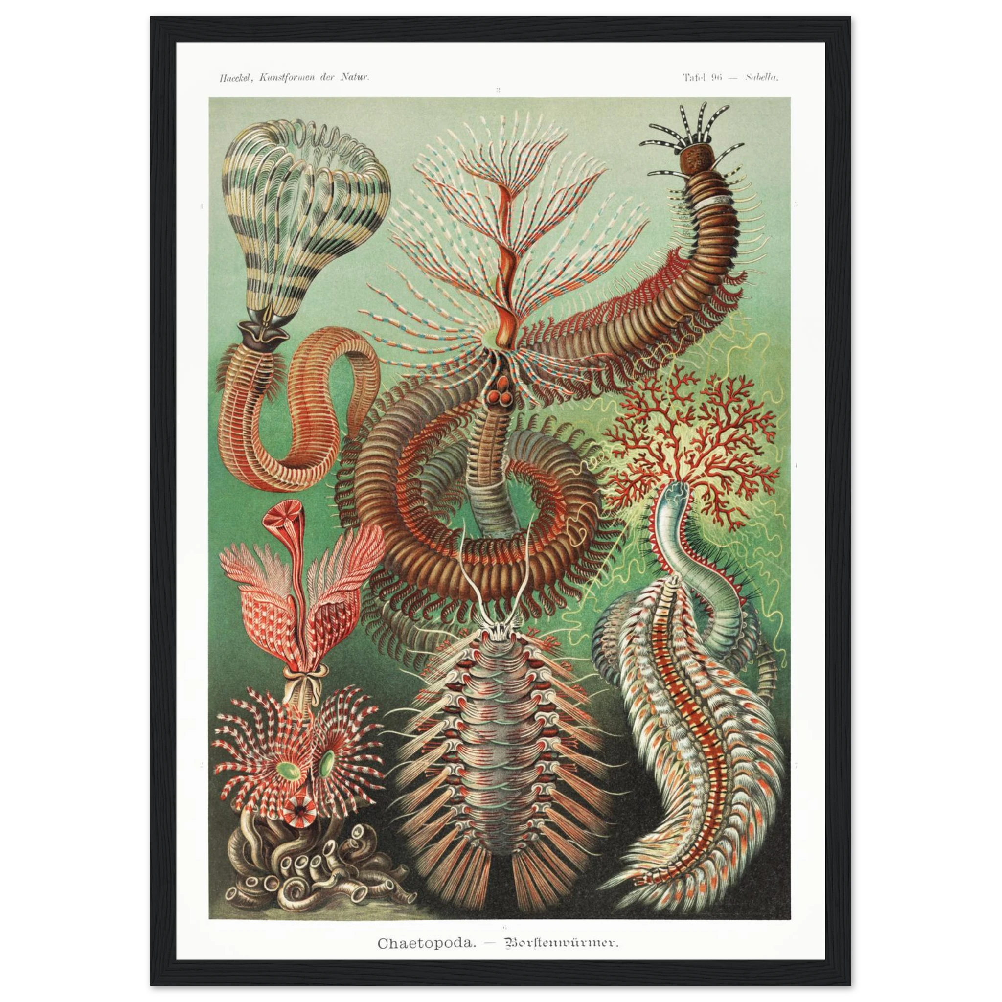 3ddf5e1f-b250-4079-be84-3d4f7b3f8350