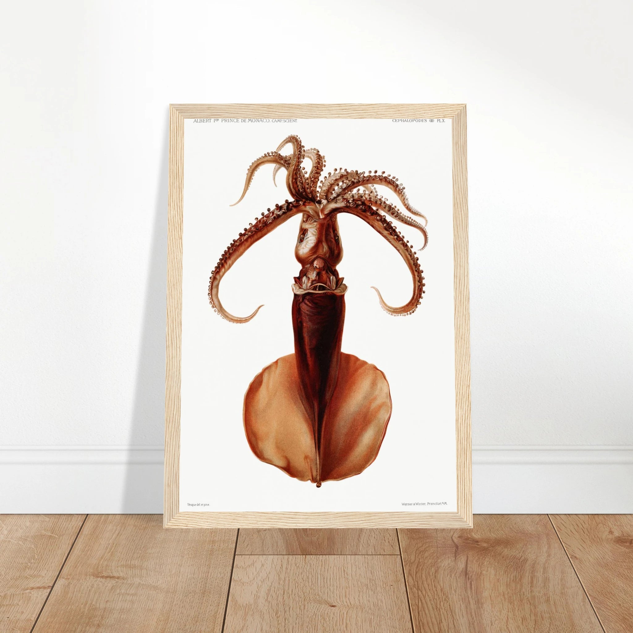 3e002dab-c74a-4e31-bff4-295172427b7b