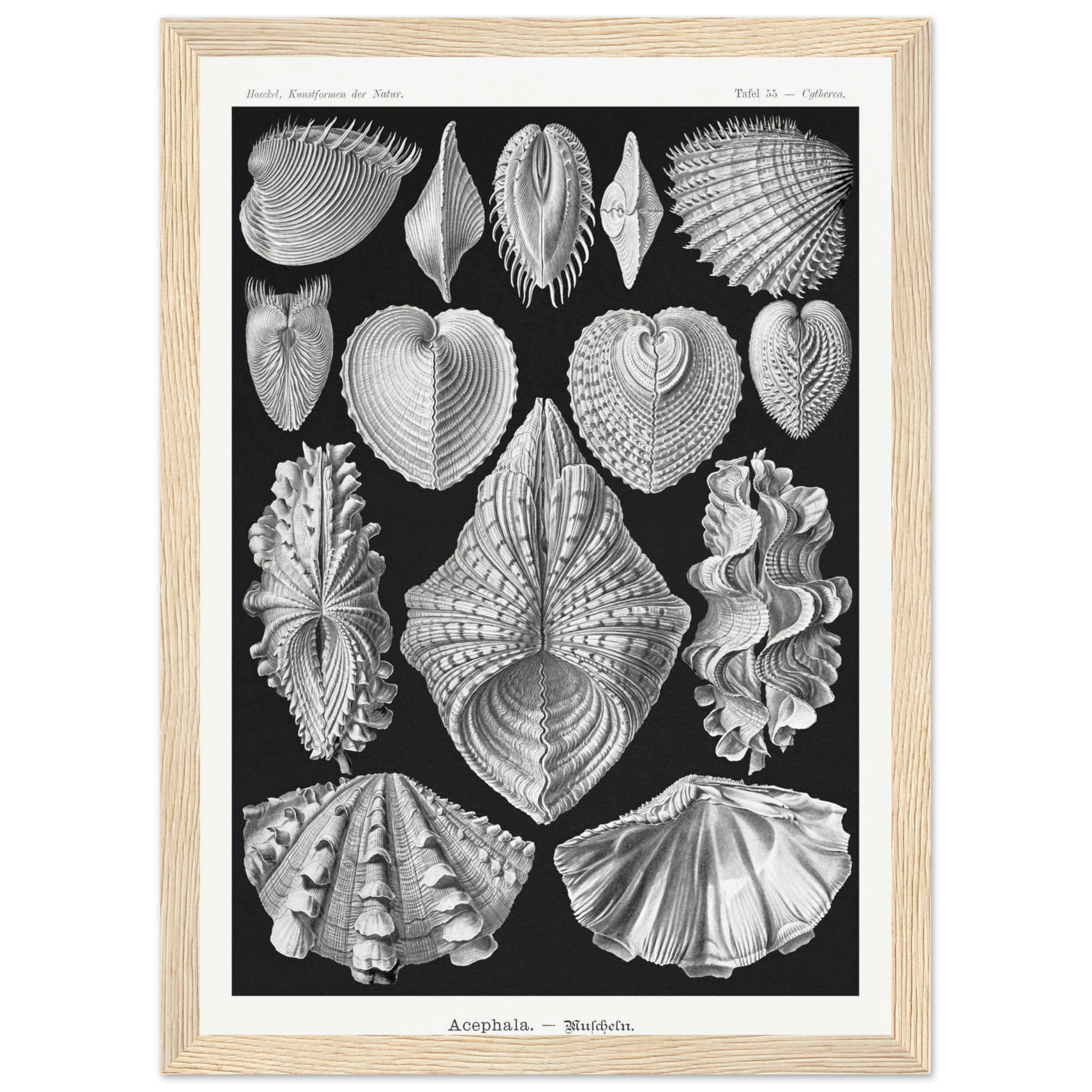 3e16d294-ea58-4a66-9f02-153e6056362c