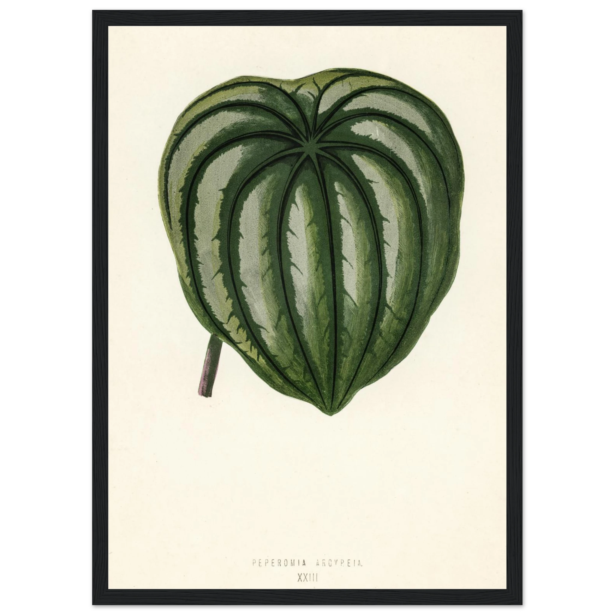 3e692e96-e6b0-4dae-95c8-968434e21222