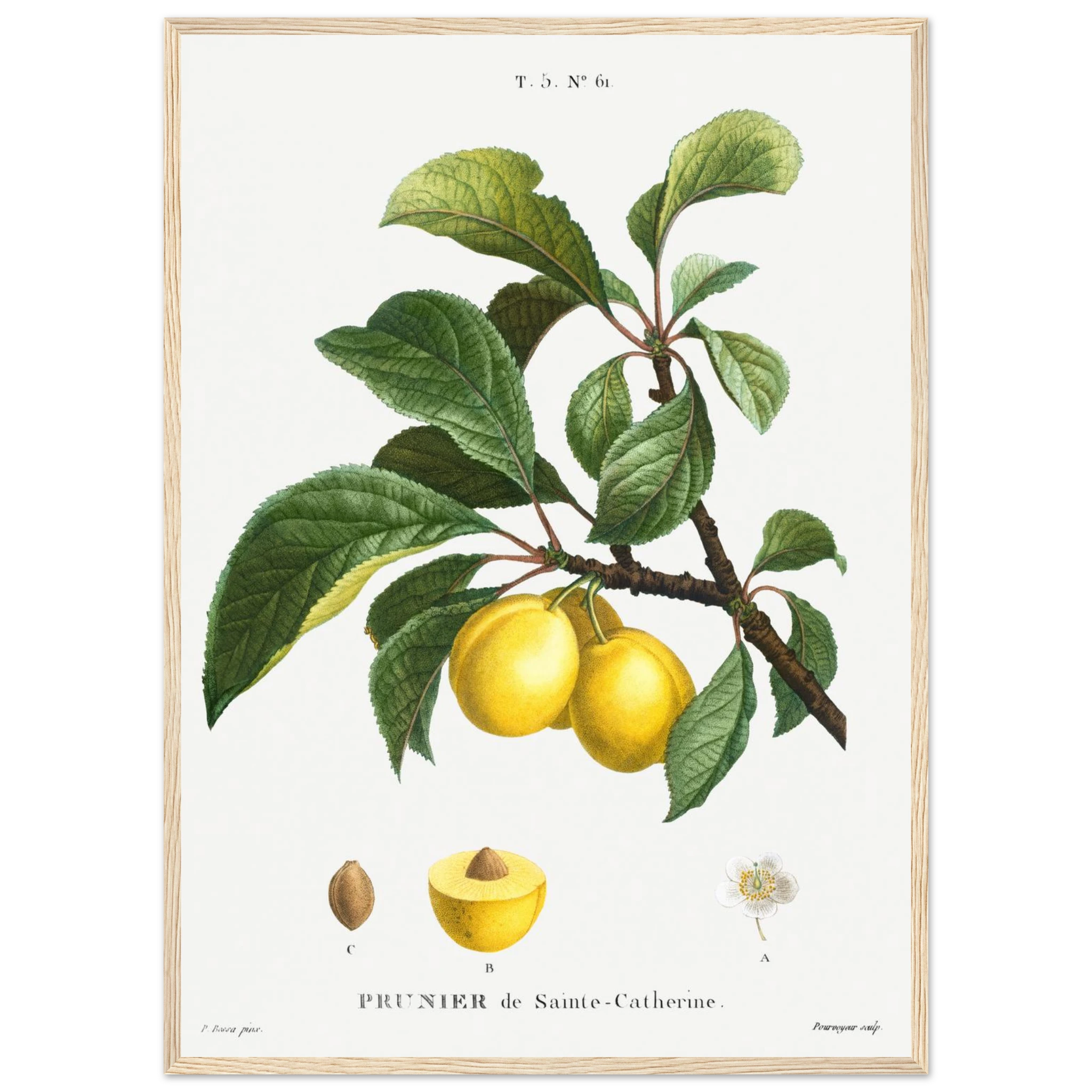 3f0b995e-7927-4b04-8fb6-ad61a9f9d231