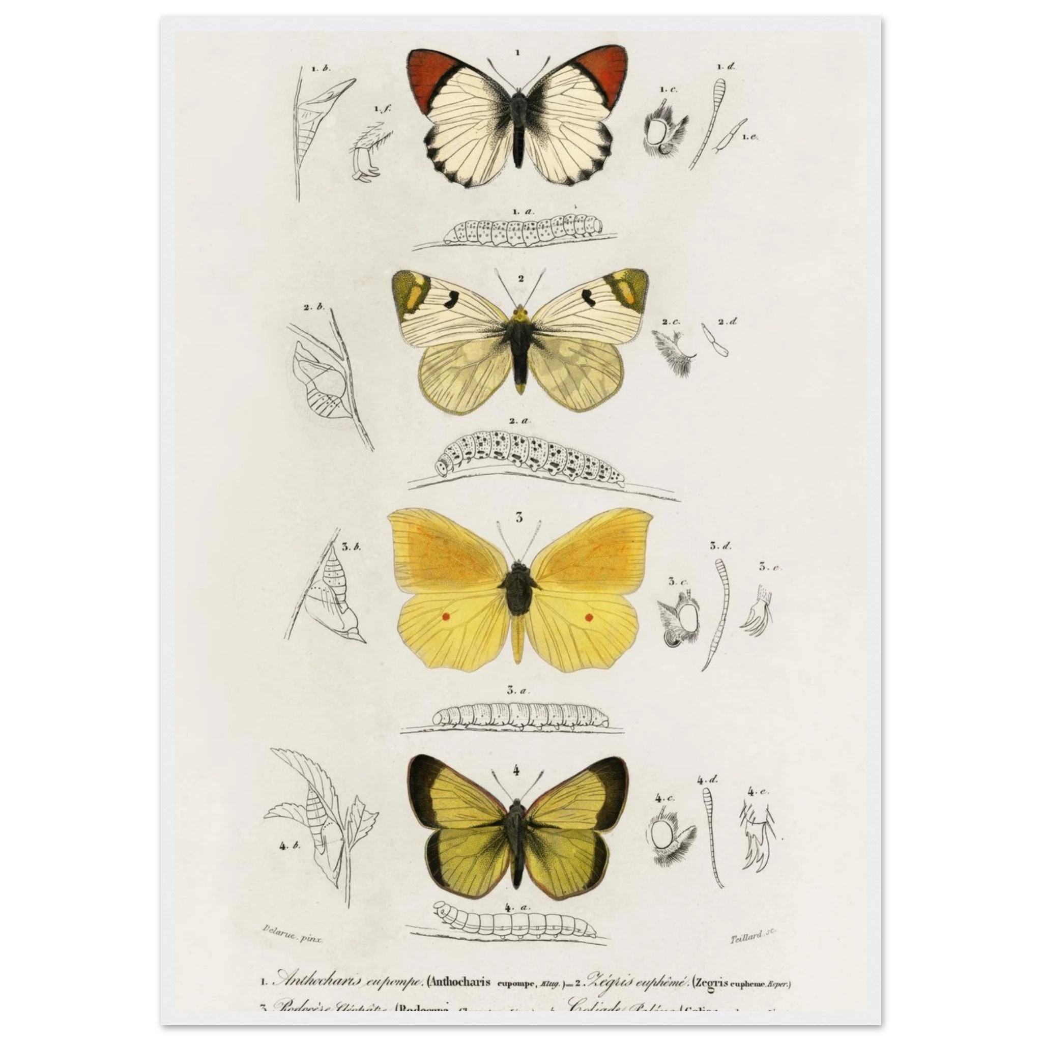 3f17dc64-7149-457e-8646-86881b63ca44