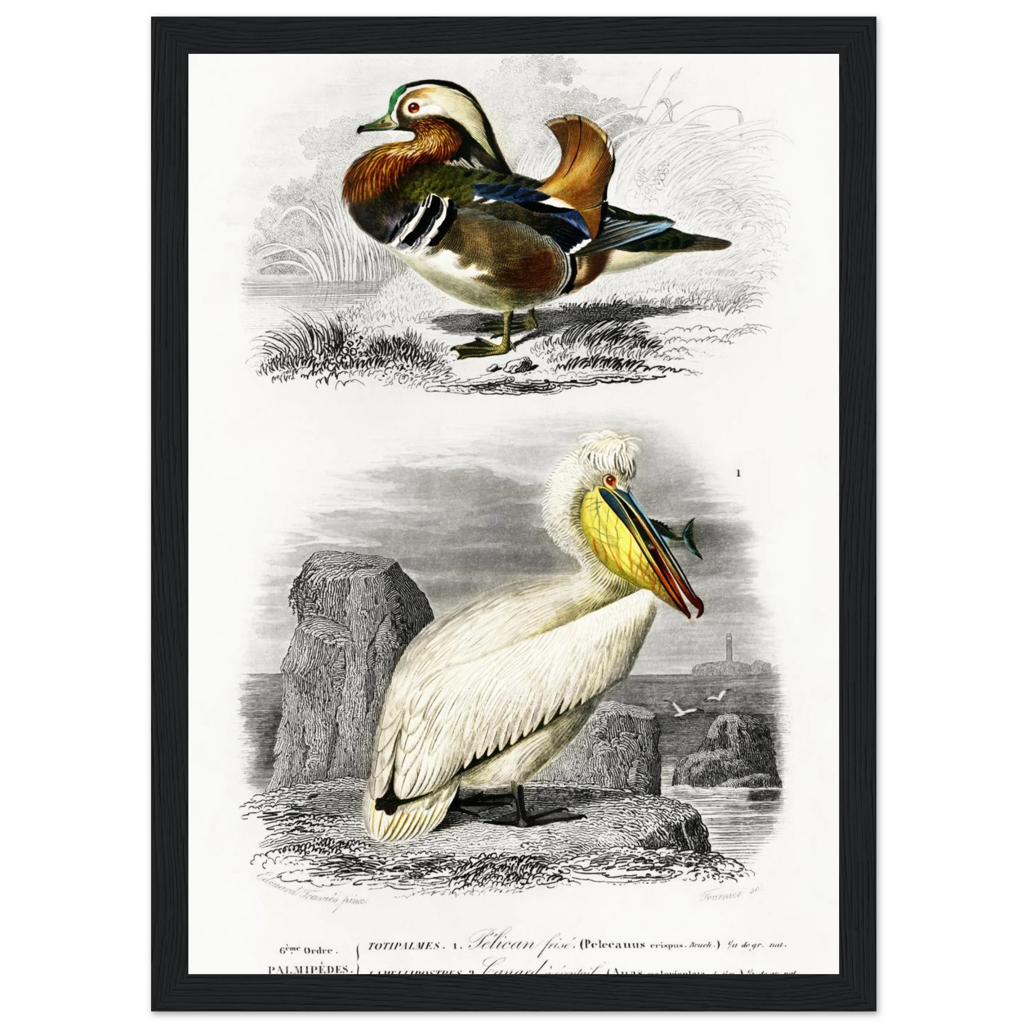 3f1ea01d-a265-4b8c-a5e8-34b366b4a727