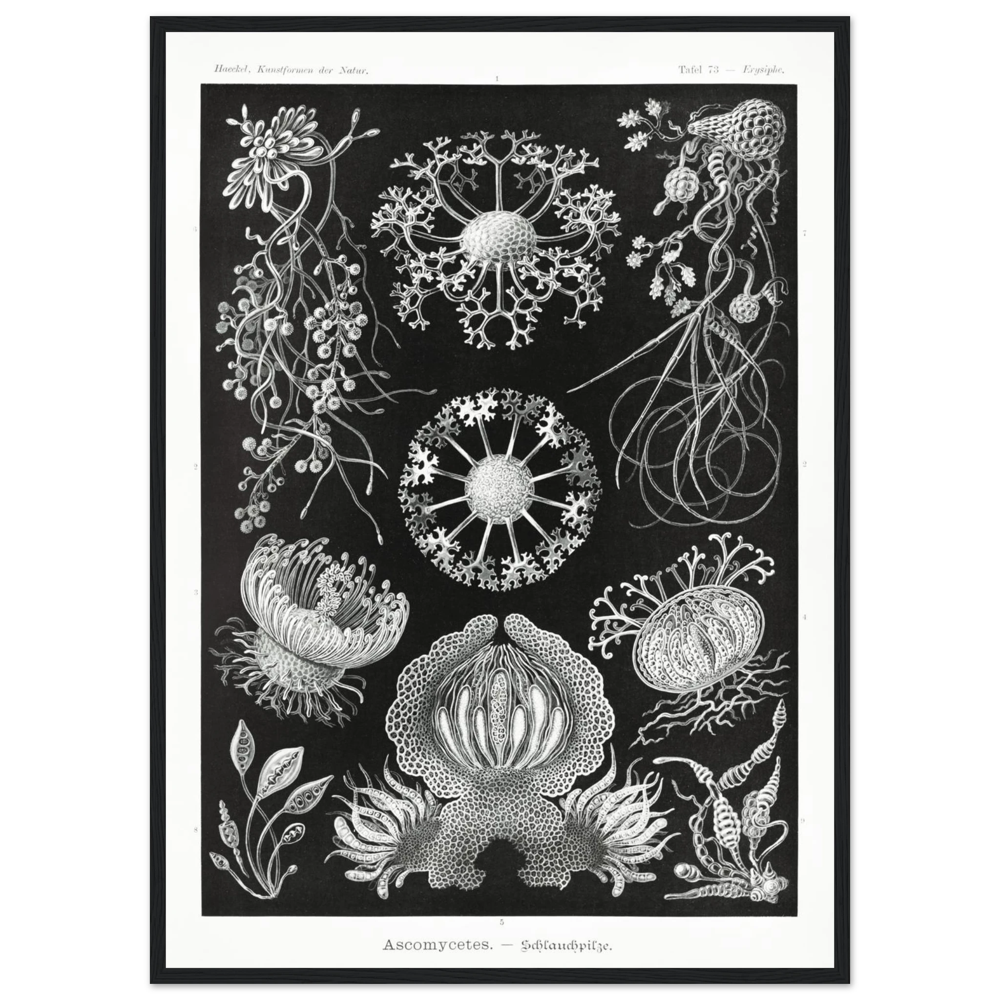 3f6347d8-5315-41b8-8d0e-a658511894a3