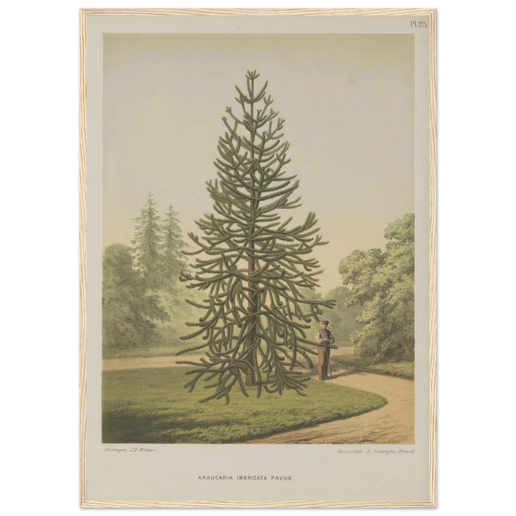 3f70102f-075c-4821-97eb-32f664f8eab3